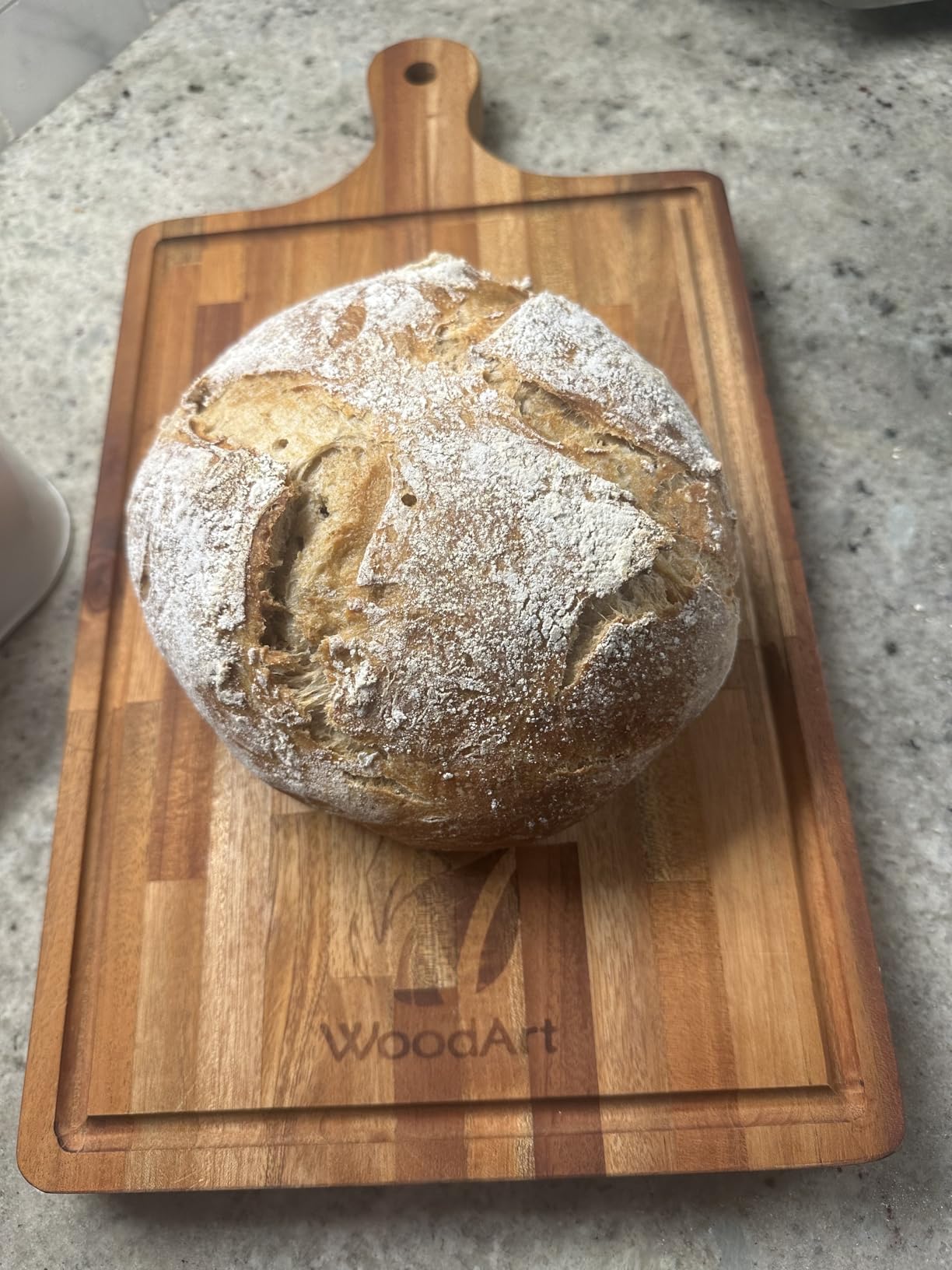 Alselo Silicone Oven Mitts Heat Resistant 932℉ with Waterproof & Non-Slip Kitchen Mittens, Set of 2 Extra Long Oven Gloves with Soft Cotton Terry Lining for Baking Cooking Barbecue customer photo 2