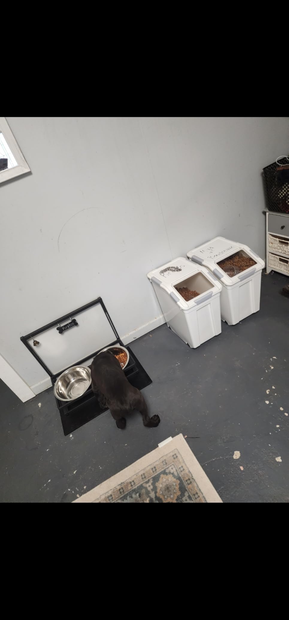 HANAMYA 33 Liter / 50 lbs Rice Storage Container with Measuring Cup, BPA free, For Rice | Grain | Pet Food | Flour, 2 count, White customer photo 1