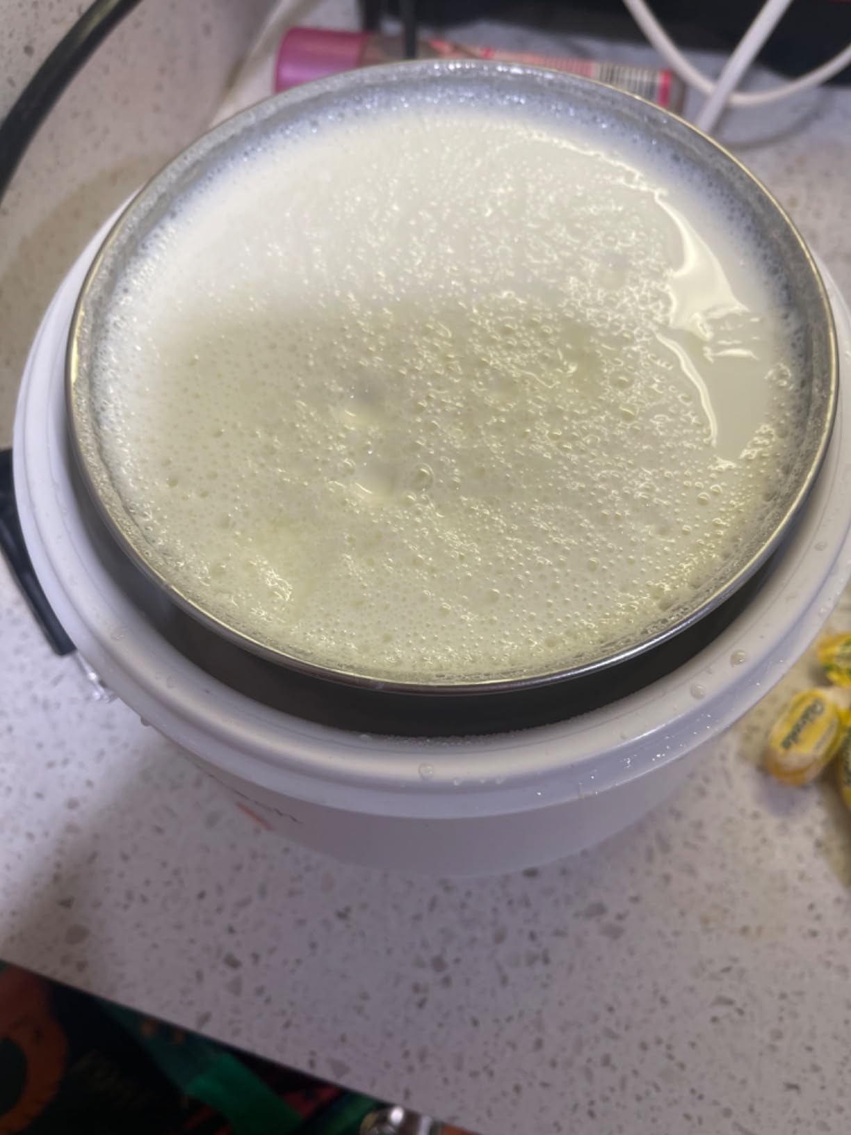 JoyMech Yogurt Maker, Compact Greek Yogurt Maker Machine with Constant Temperature Control, Stainless Steel Container, 1 Quart for Home Organic Yogurt customer photo 2