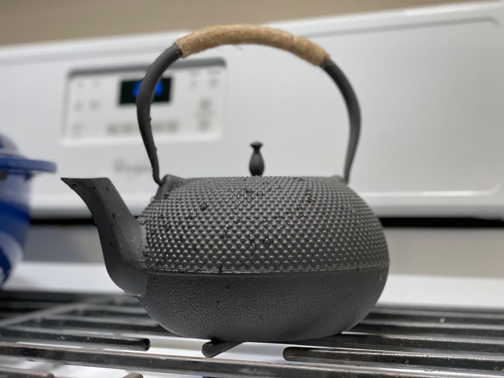 suyika Japanese Tetsubin Cast Iron Teapot Tea Kettle pot with Stainless Steel Infuser for Stovetop Safe Coated with Enameled Interior 30 oz/900 ml customer photo 1