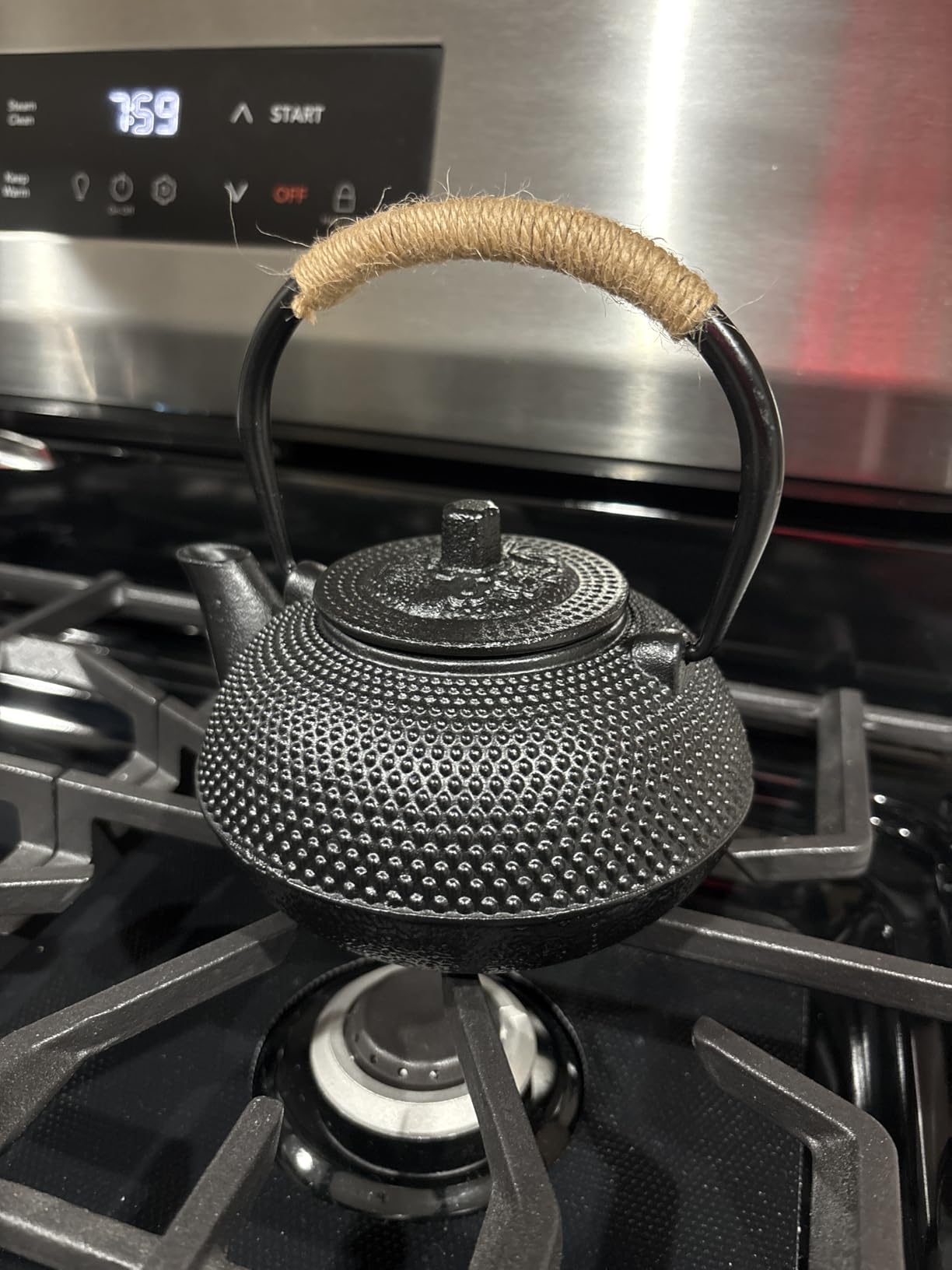suyika Japanese Tetsubin Cast Iron Teapot Tea Kettle pot with Stainless Steel Infuser for Stovetop Safe Coated with Enameled Interior 30 oz/900 ml customer photo 2