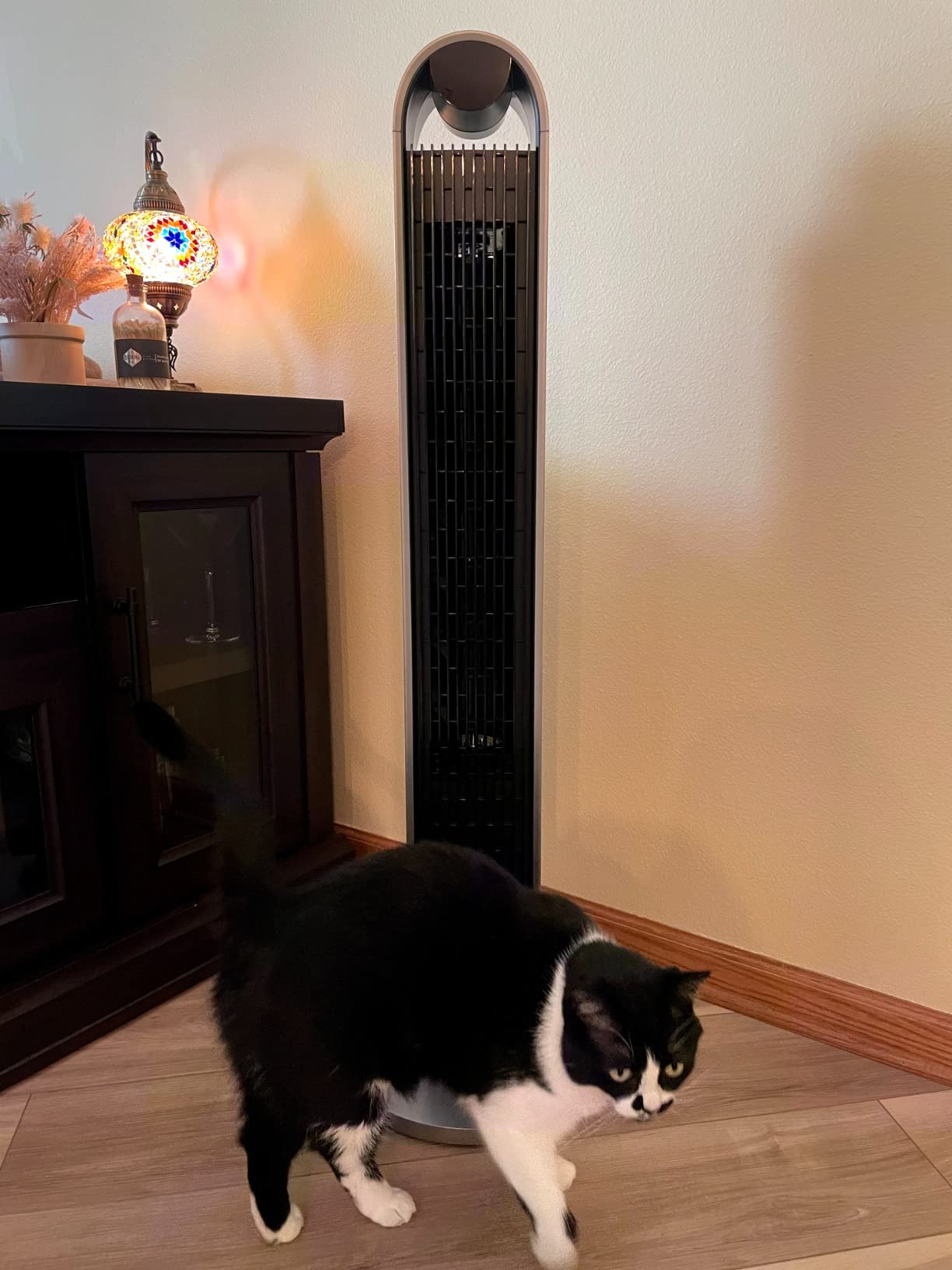 DREO Smart Tower Fan Voice Control, 120° Oscillating Fan Works with Alexa/Google/App/Remote, 42 Inch, 20dB Quiet DC Bladeless Fan for Bedroom,12 Speeds, Floor Fan for Home, Office customer photo 1