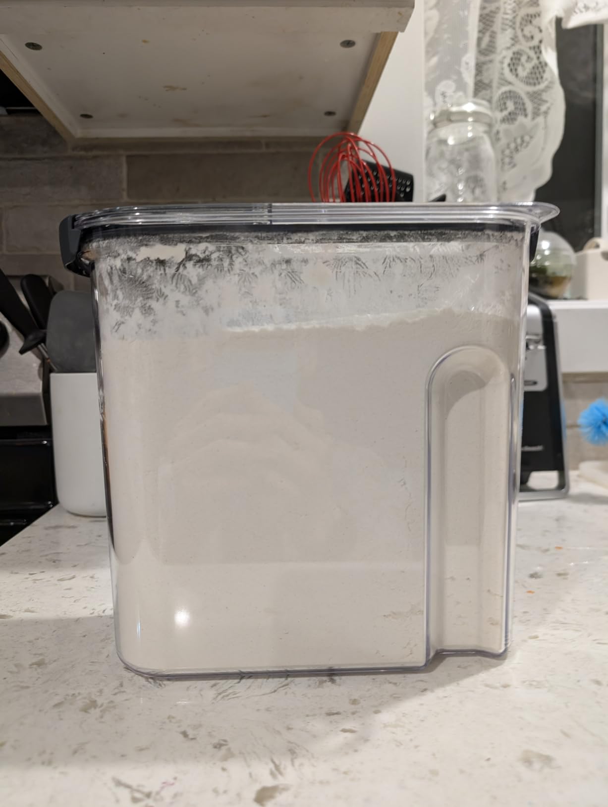 Rubbermaid Brilliance Airtight Cereal Food Storage Container, Shatterproof, BPA-Free and Dishwasher-Safe, 32oz Capacity customer photo 2