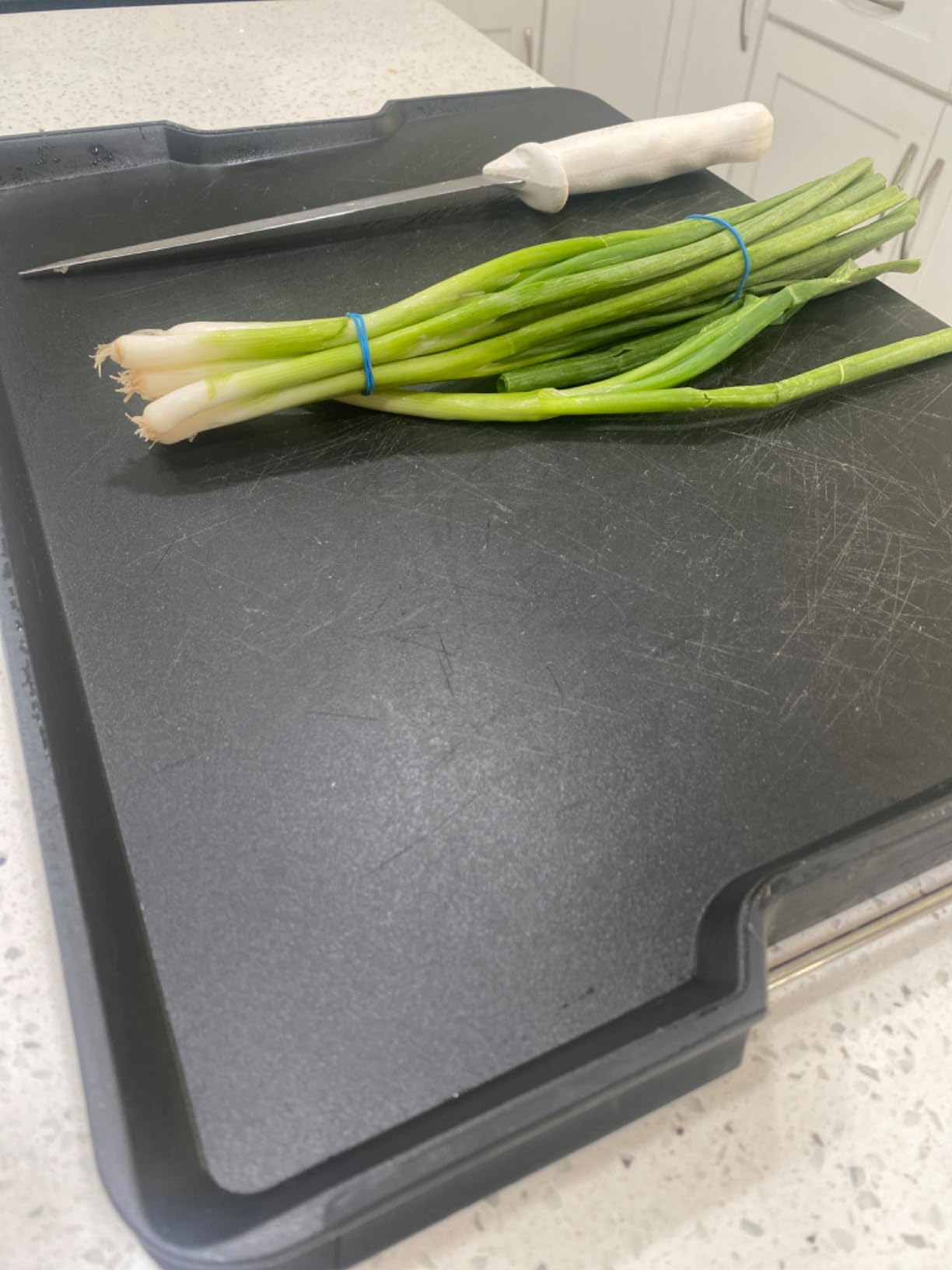 Joseph Joseph Cut&Carve Plus - Non-Slip, Multi-Function, Double-Sided Cutting Board for Food Preparation and Carving- Dishwasher Safe, Extra Large, Red customer photo 1