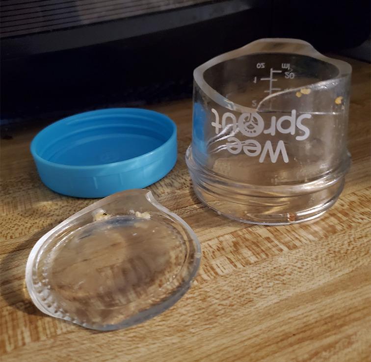 WeeSprout Glass Baby Food Storage Jars w/Lids (4 oz, 12 Pack Set) Snack, Puree, Reusable Small Containers, Breast Milk, Fridge or Freezer, Microwave & Dishwasher Safe, Essential Must Have for Infants customer photo 2