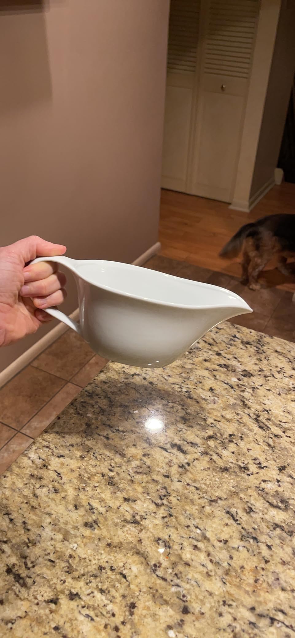 Heartland Home 16oz Porcelain Gravy Boat with Spout - Large Gravy Bowl for Sauce, Cream, and Milk with Large Pourer and Fewer Drips - Microwave and Dishwasher Safe - Classic Ceramic Gift, White customer photo 1