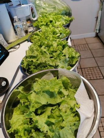 Cuisinart Large Salad Spinner- Wash, Spin & Dry Salad Greens, Fruits & Vegetables, 5qt, CTG-00-SASG Grey customer photo 1