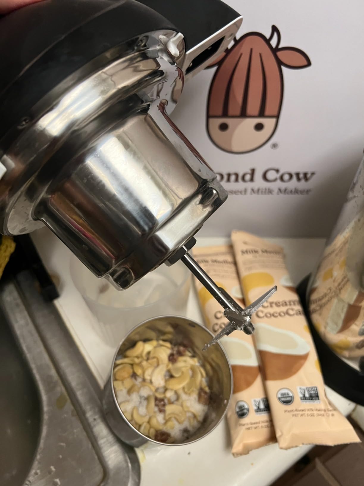 Almond Cow Nut Milk Maker Machine, Plant-Based Milk Maker for Almond, Oat, Cashew, Soy Milk, Stainless Steel, No Straining Needed - Makes 5-6 Cups, 120V customer photo 2