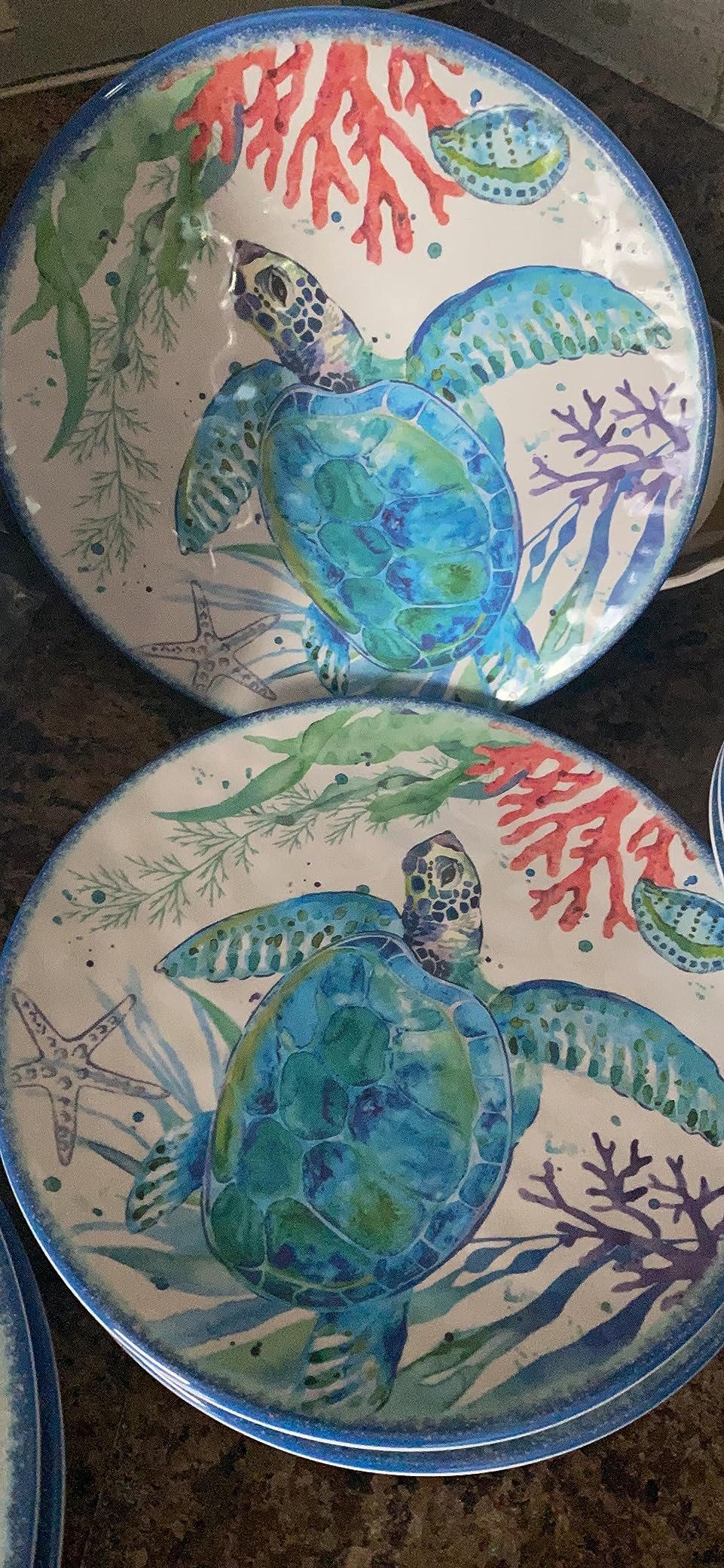 LEHAHA 12-Piece Melamine Beach Dinnerware Set, Coastal Plates and Bowls Sets, Oceanic Sea Life Dish Sets for 4, Great for Indoor Outdoor Dining on the Beach, RV, Camping or Cabin customer photo 1