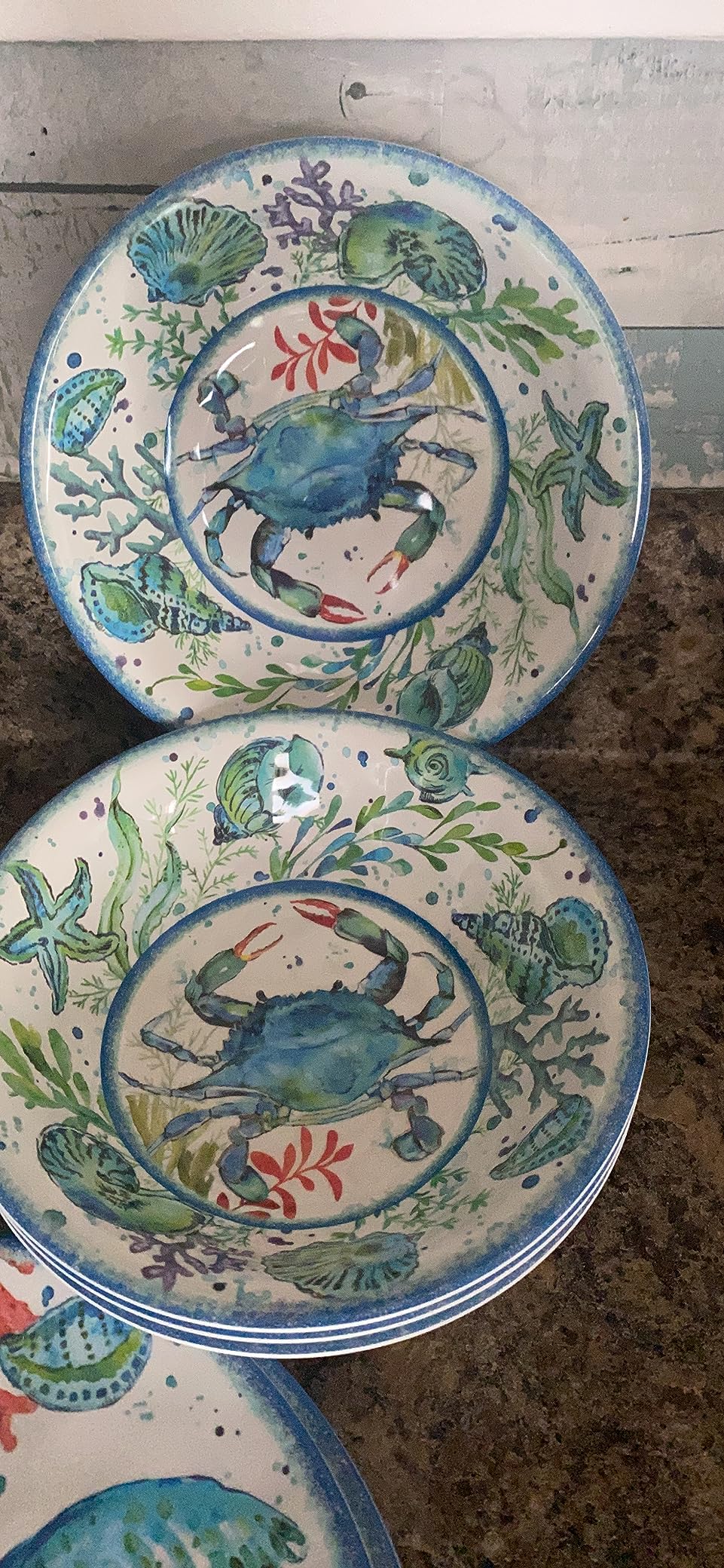 LEHAHA 12-Piece Melamine Beach Dinnerware Set, Coastal Plates and Bowls Sets, Oceanic Sea Life Dish Sets for 4, Great for Indoor Outdoor Dining on the Beach, RV, Camping or Cabin customer photo 2