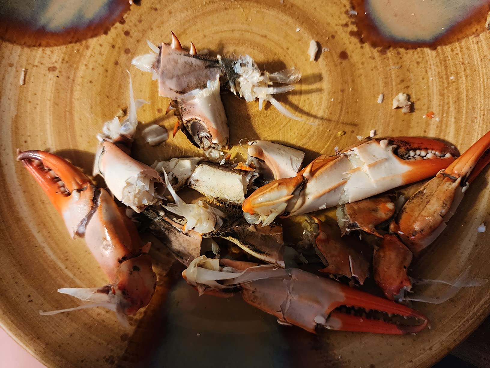 OXO Good Grips Seafood Scissors customer photo 2