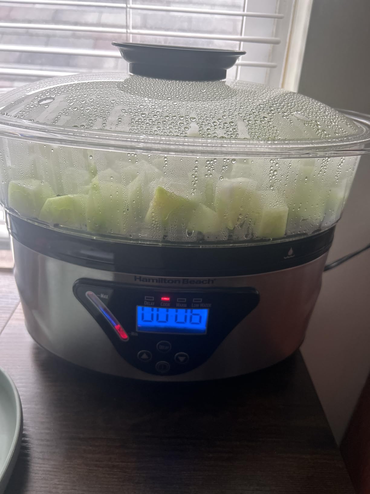 Hamilton Beach Digital Electric Food Steamer & Rice Cooker for Quick, Healthy Cooking with Stackable Three-Tier Bowls for Vegetables and Seafood, 8.25 Quart, Black & Stainless Steel customer photo 1