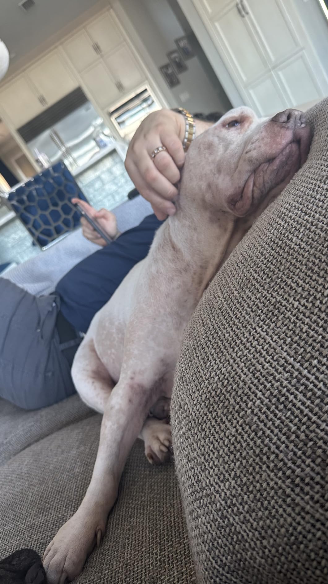 4 Pack Large Syringes for Liquid, 20ml & 60ml Plastic Syringe for Measuring, Lip Gloss TKP Lipgloss Base Flavoring Oil Food Oral Medicine Injection Feeding- with Tip Cap and Pipettes customer photo 2