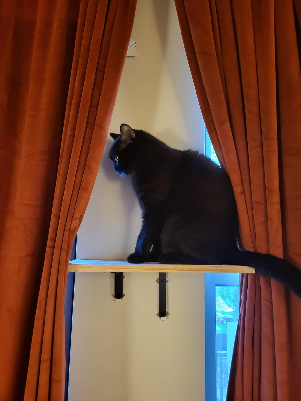 WOPITUES Wood Floating Shelves Set of 6, Shelves for Wall Decor, Farmhouse Shelf for Bedroom, Bathroom Storage Shelves, Book Shelves for Living Room - Rustic Brown customer photo 2