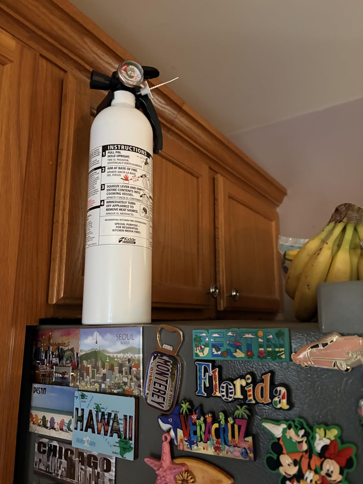 Kidde Fire Extinguisher for Kitchen, Residential, Single-Use, 711A customer photo 1