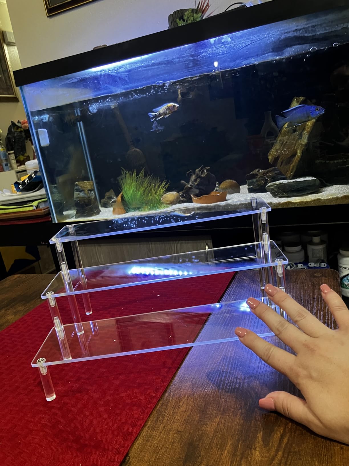 Aredpoook Acrylic Display Risers, 3 Tier Perfume Organizer Stand, Clear Cupcake Stand Holder, Large Shelf Risers for Figures, Dessert Shelves for Party, Display Shelf for Decoration and Organizer customer photo 1