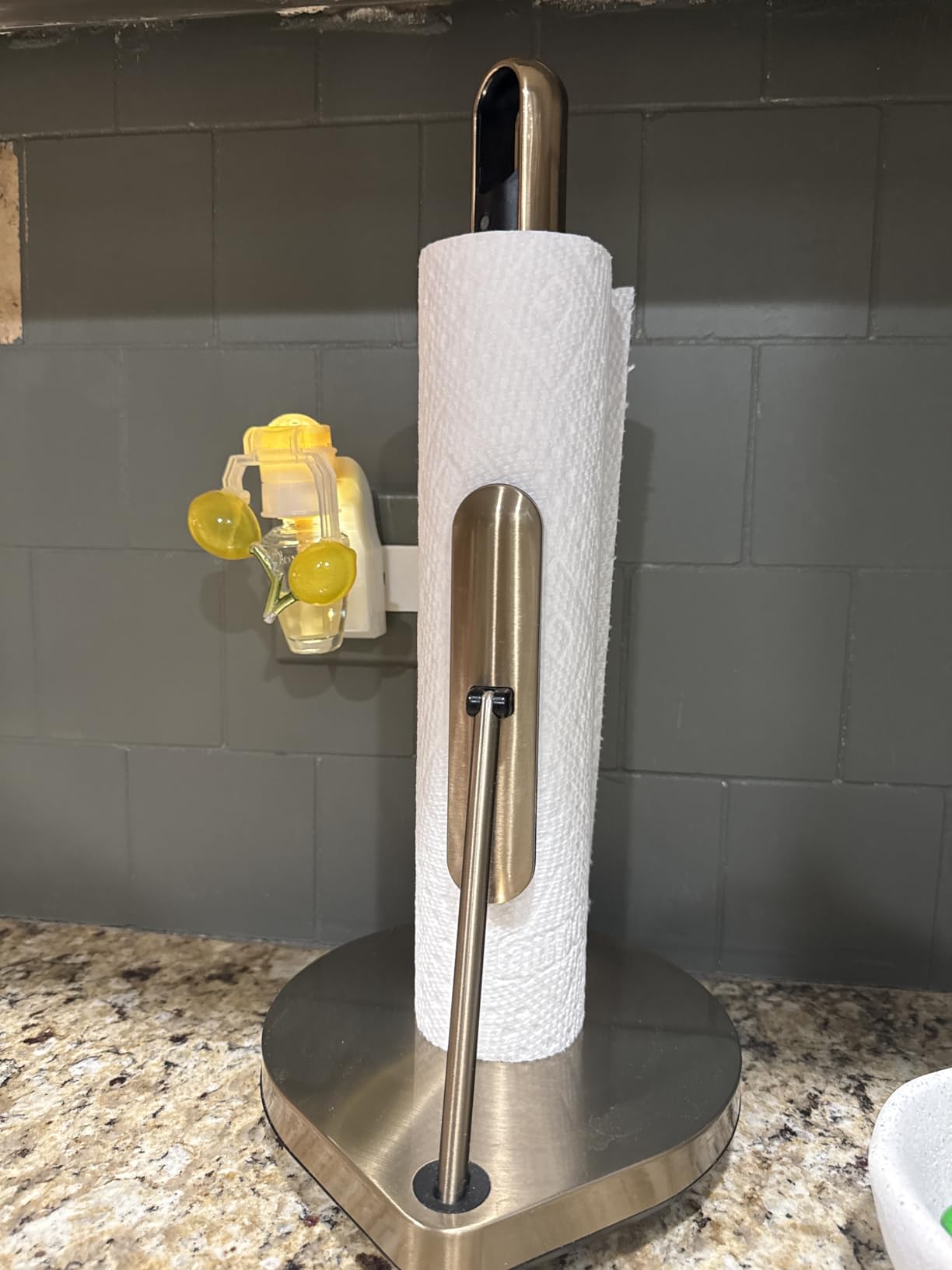 simplehuman Standing Paper Towel Holder with Spray Pump, Brushed Stainless Steel customer photo 1