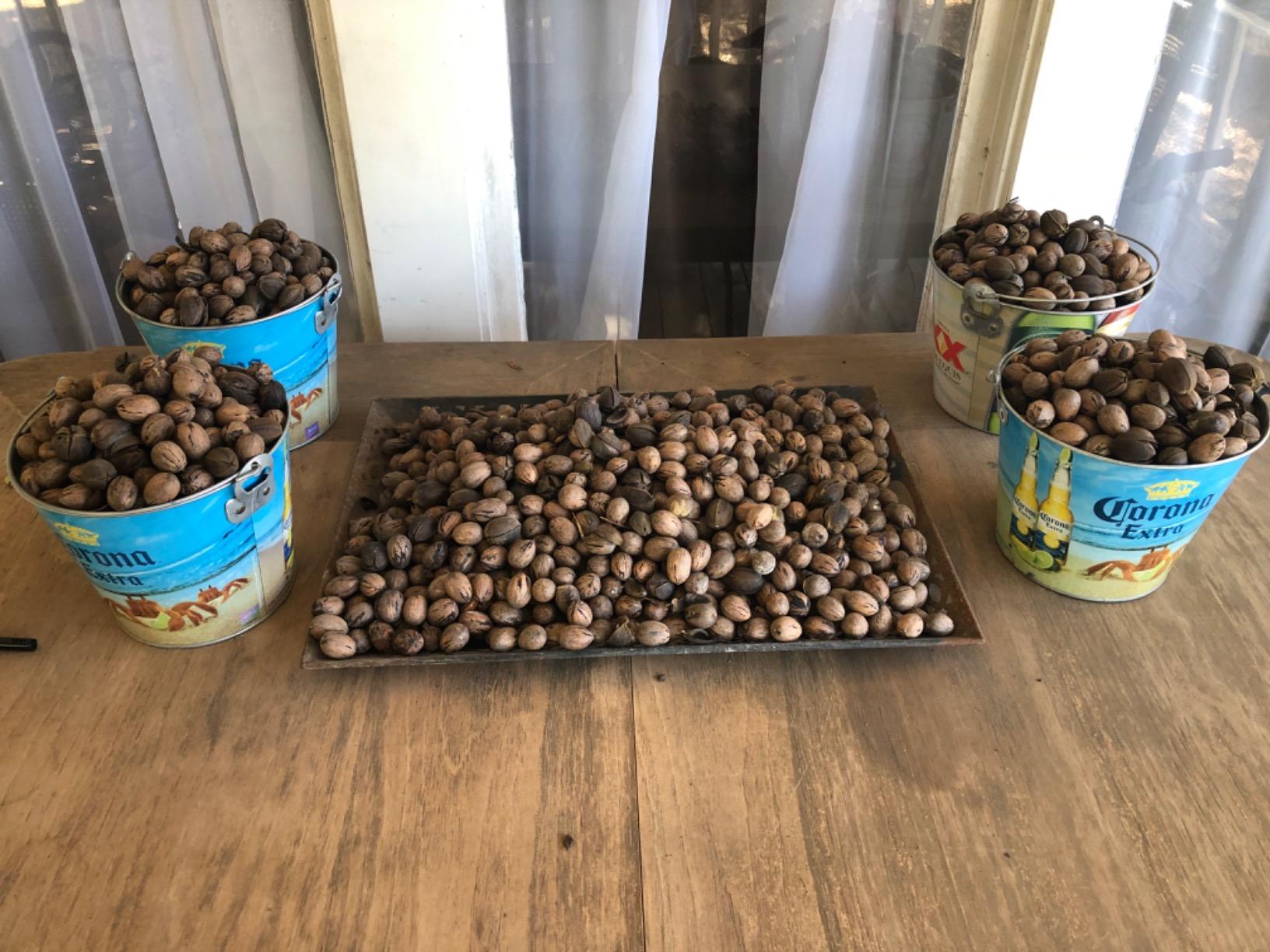 Classic Nutcracker Set Pecan Walnut Nut Cracker Tool Lobster or Crab Seafood Cracker With 2Picks,Stainless Steel customer photo 1