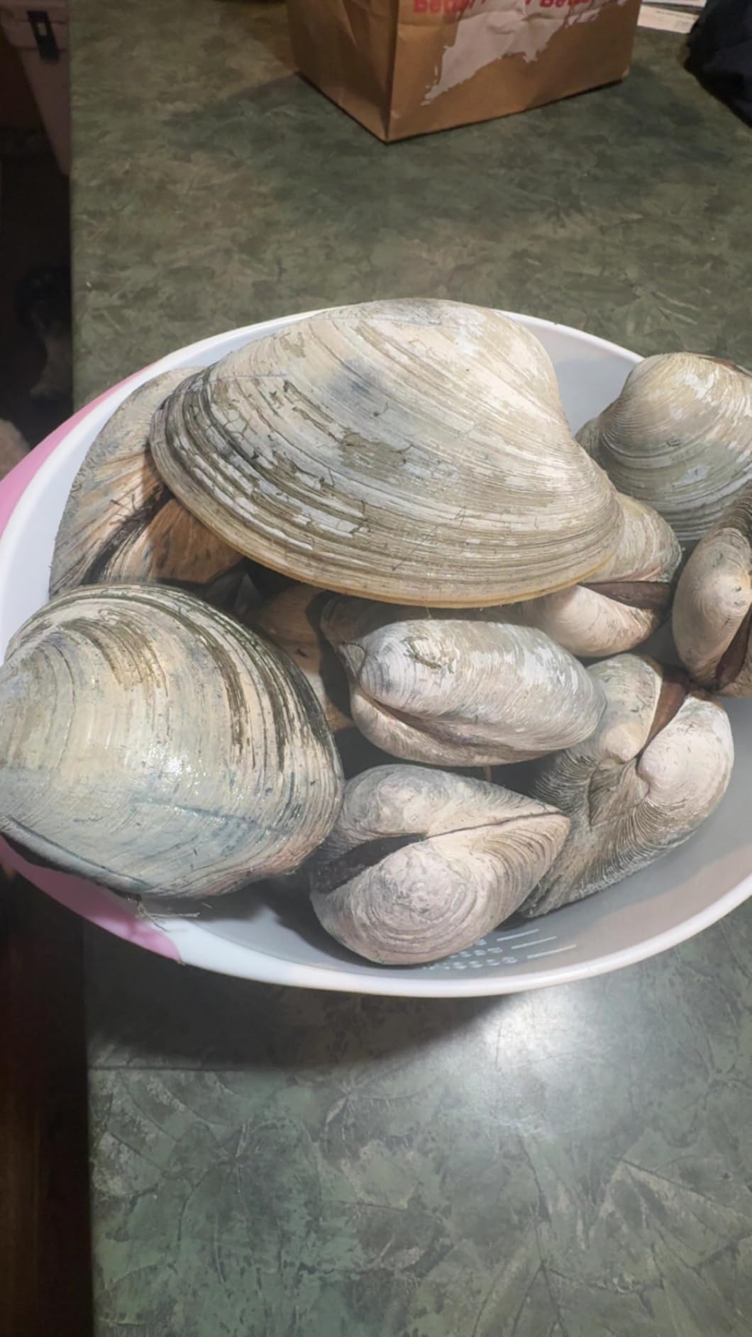 Fulton Fish Market Clam Knife - Professional Shucking Tool with Ergonomic Handle customer photo 1