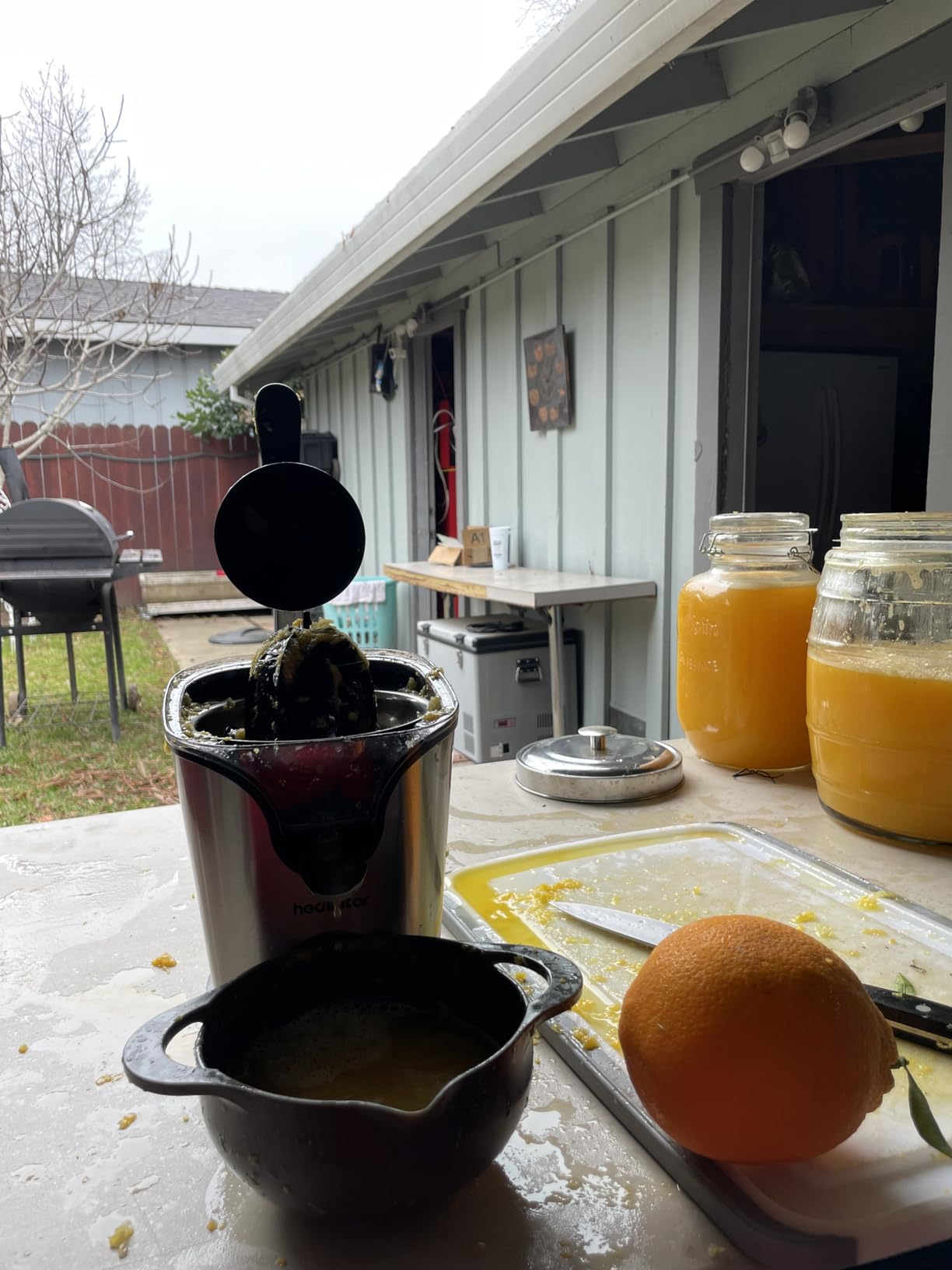 Healnitor 150W Electric Citrus Juicer Squeezer with 2 Cones, Stainless Steel Quiet Orange Juice Extractor Machines for Lime Grapefruit Lemon, Detachable Design customer photo 2