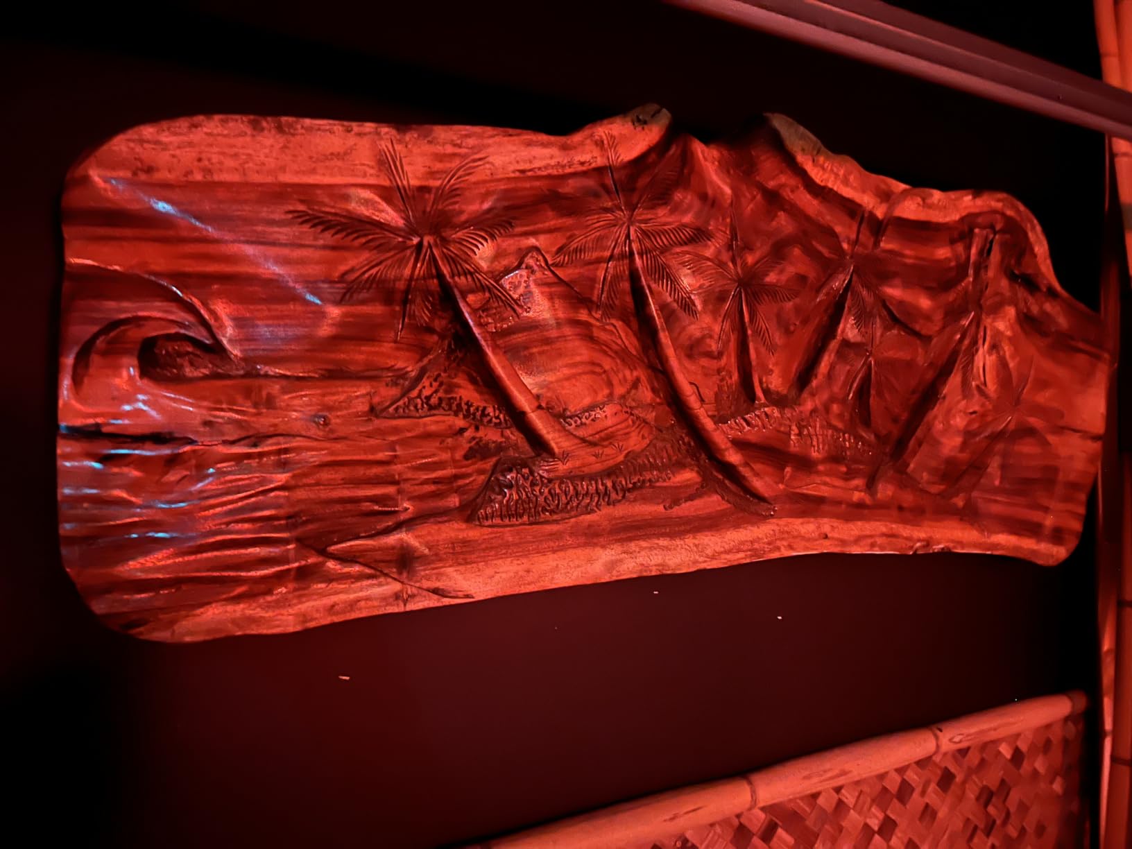 WODEGIFT 5 Large Size Heavy Duty Wall Hooks, Coat Hooks for Hanging Pans, Backpacks, Coats, Garage Items (Black) customer photo 1