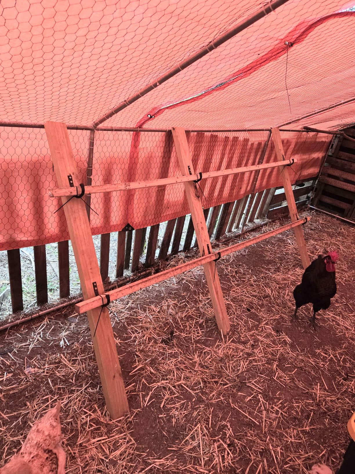 WODEGIFT 5 Large Size Heavy Duty Wall Hooks, Coat Hooks for Hanging Pans, Backpacks, Coats, Garage Items (Black) customer photo 2