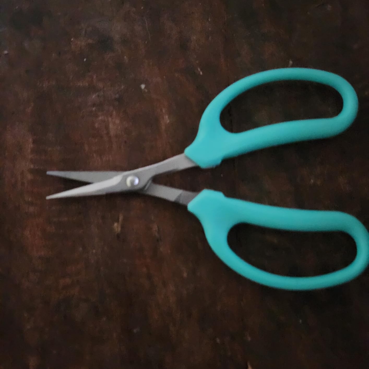 Beaditive Culinary Herb Scissors - Compact 6.5-Inch Stainless Steel Kitchen Scissors - Dishwasher Safe - Sharp Tip for Snipping Fresh Herbs customer photo 2