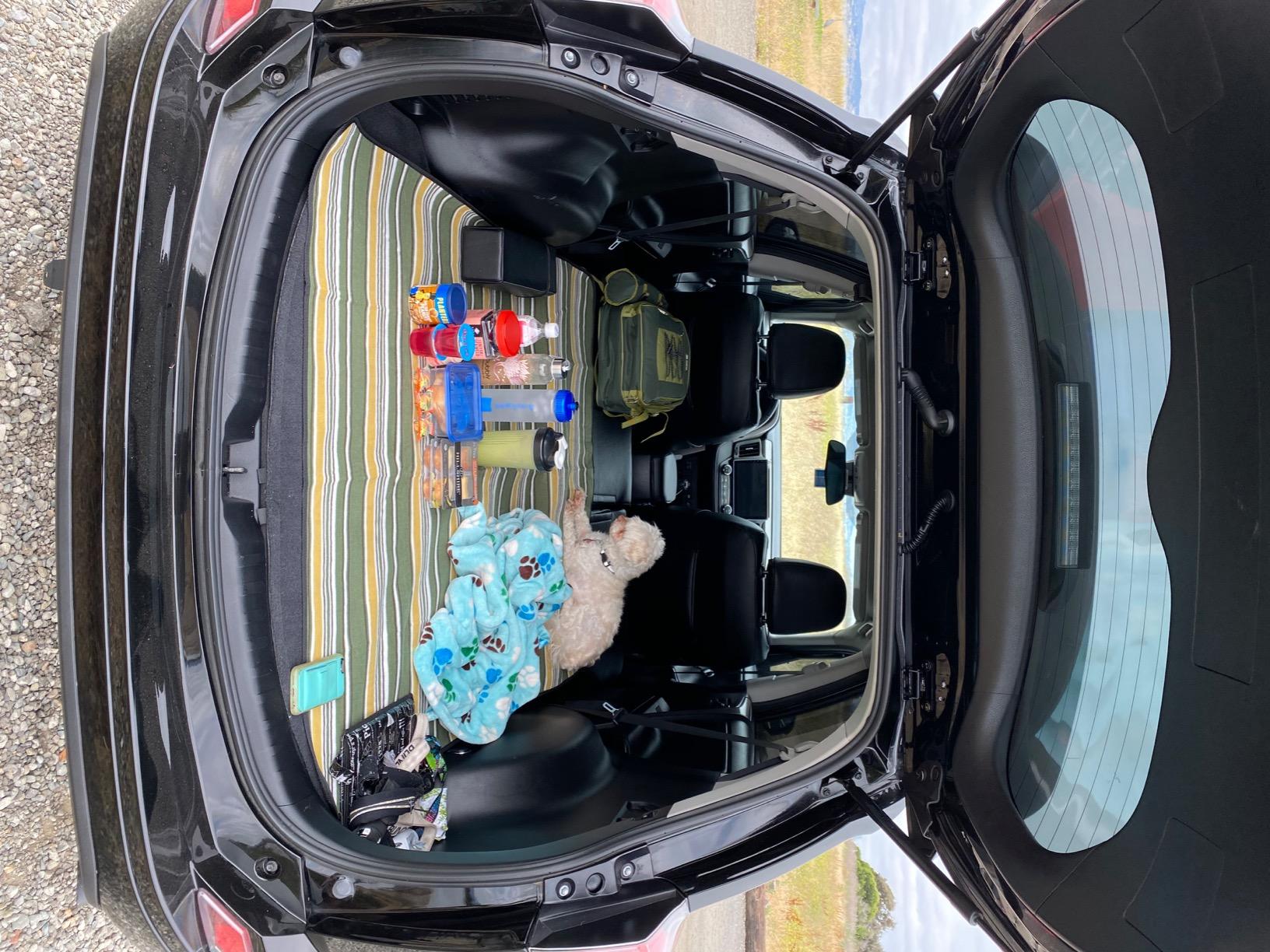 ALLCAMP Picnic Backpack - Insulated Cooler Bag with Compartment, Detachable Wine Glass Holder, Throw Blanket & Cutlery Set, 2 Person Picnic Set customer photo 2