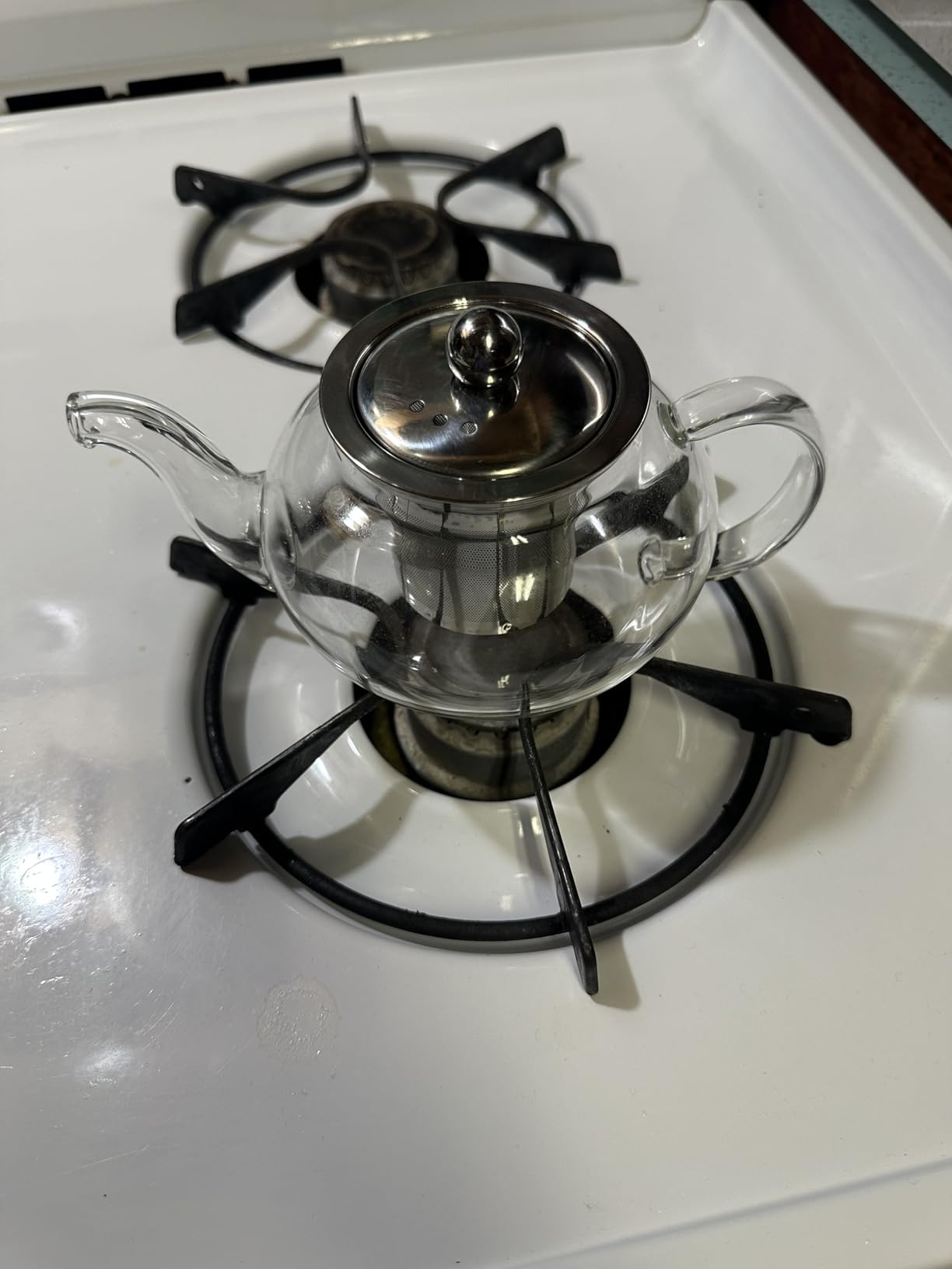 Glass Teapot with Removable Infuser, 20 oz/600ml Glass Tea Pot Small Borosilicate Tea Steeper Kettle with Loose Leaf Tea Strainer For Flower Blooming Tea, ClearTea Maker Pitcher customer photo 1