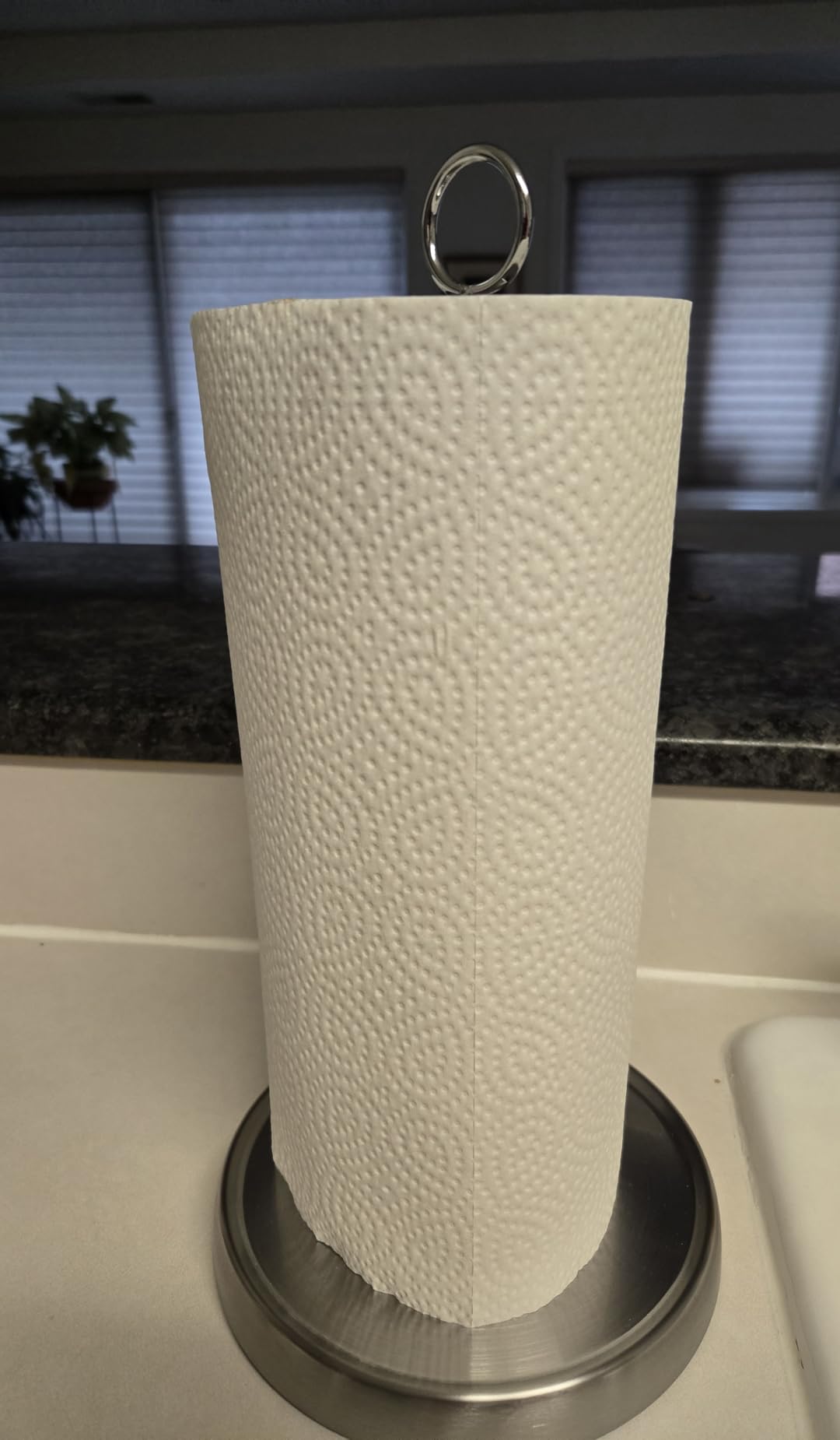 Paper Towel Holder Countertop, Stainless Steel, Weighted Base, Paper Towel Stand Holder for Kitchen Bathroom Farmhouse Essentials Decor customer photo 2