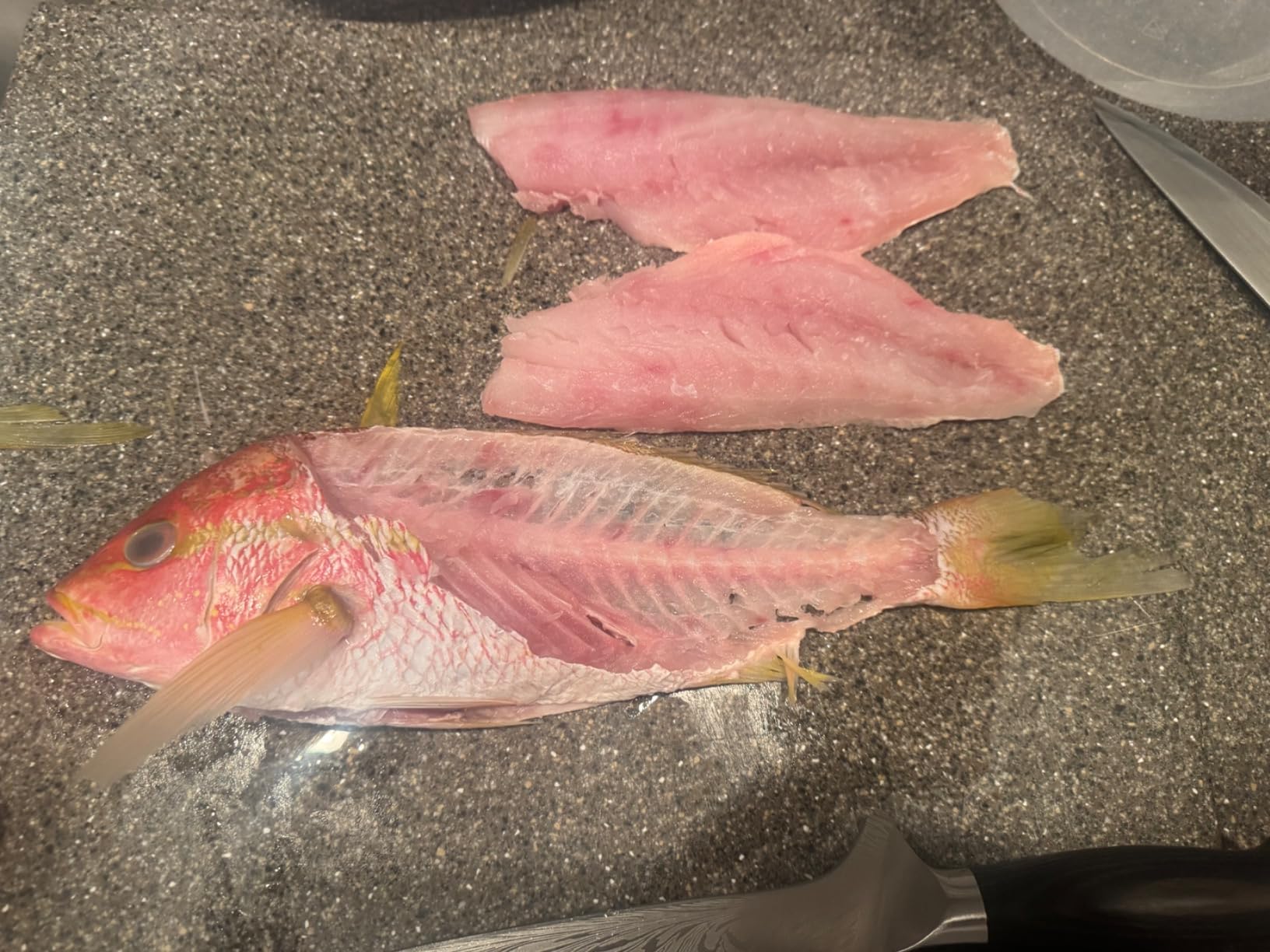 SHAN ZU Fillet Knife 7 Inch, Powder Steel Boning Knife High Carbon Japanese Filleting Knives, Ultra Sharp Deboning Knives for Meat Cutting with Ergonomic Pakkawood Handle customer photo 1