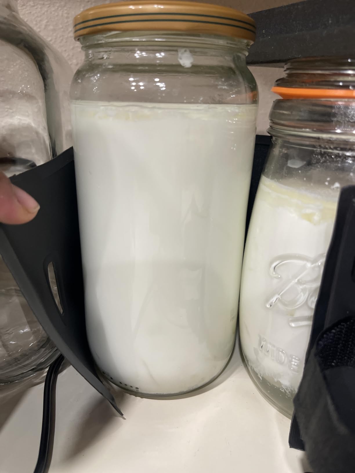 Coolinario Kefir Starter Culture (10-Pack, 1.5g Sachets) Live Probiotic Cultures for Homemade Kefir | Smooth, Creamy & Tangy | Non-GMO, No Preservatives, Gluten Free customer photo 1