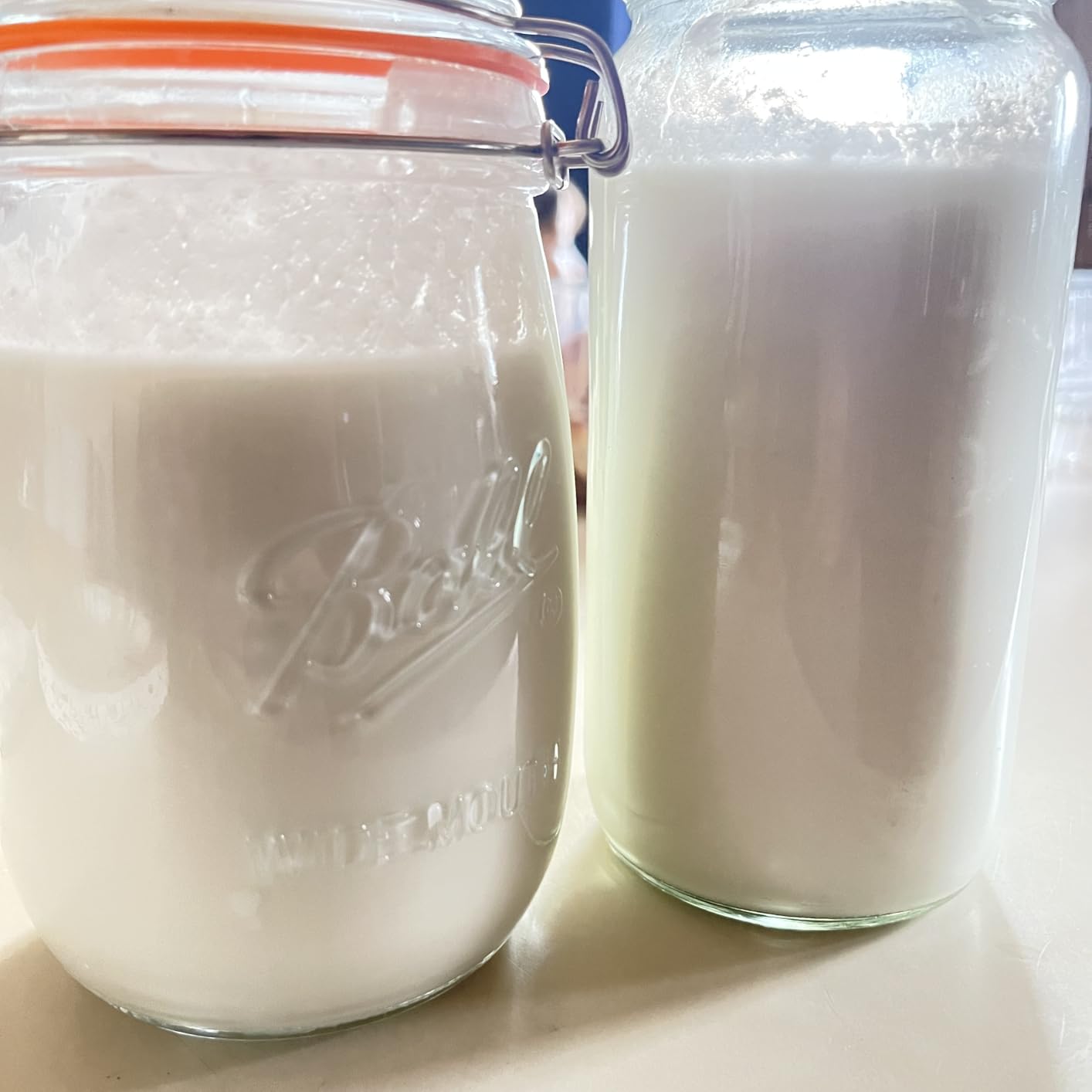 Coolinario Kefir Starter Culture (10-Pack, 1.5g Sachets) Live Probiotic Cultures for Homemade Kefir | Smooth, Creamy & Tangy | Non-GMO, No Preservatives, Gluten Free customer photo 2