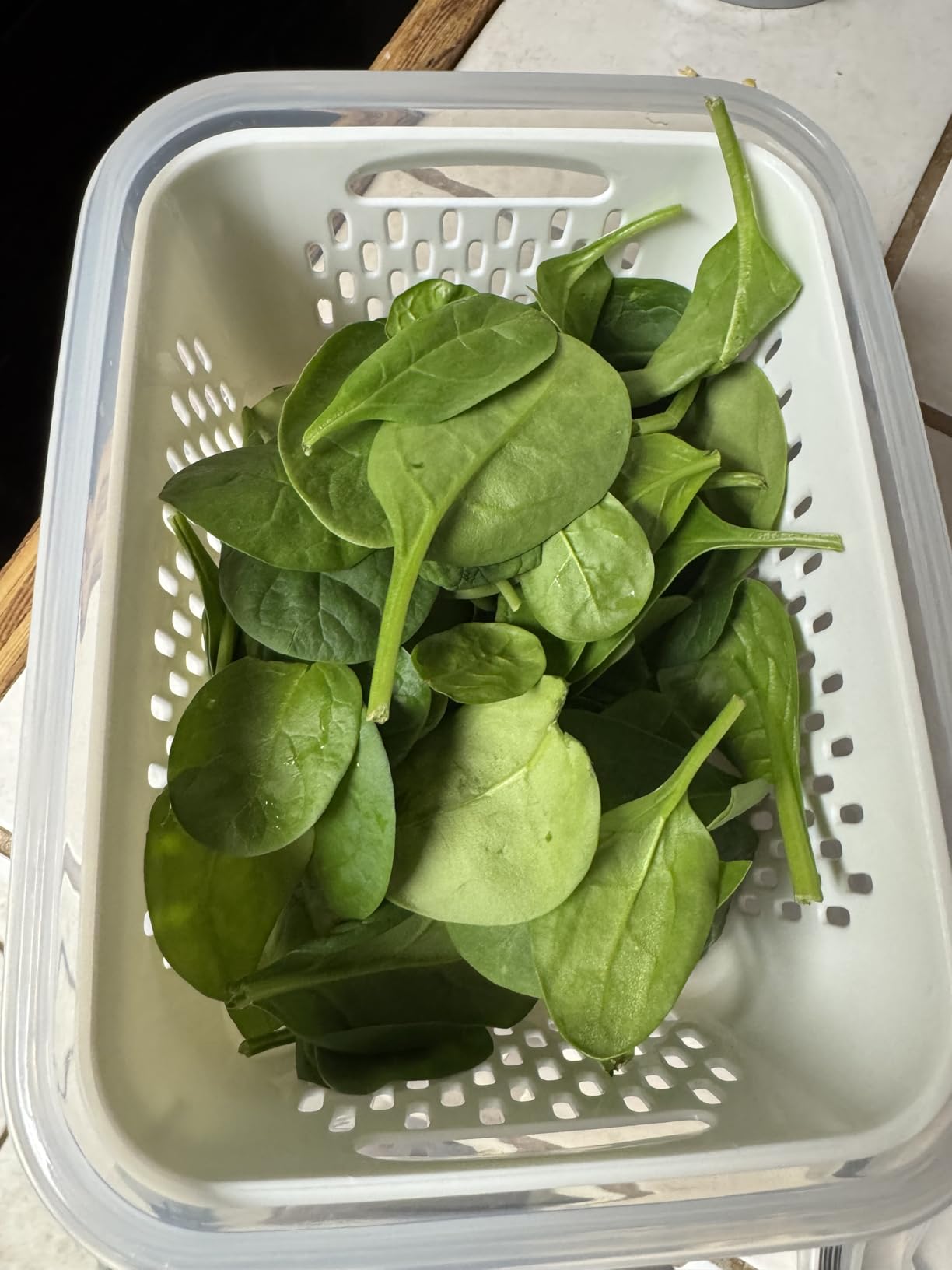 4 PCS Fruit Storage Containers for Fridge, Produce Containers for Fridge with Removable Colander, All-In-One Fruit Washing Bowl with Strainer Microwave/Dishwasher Safe for Salad Berry Lettuce Keeper customer photo 1