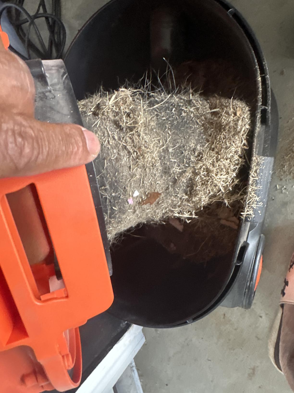 Armor All AA255W Wet/Dry Utility Vac 2.5 Gallon, 2.5-Gallon, Orange/Black customer photo 2