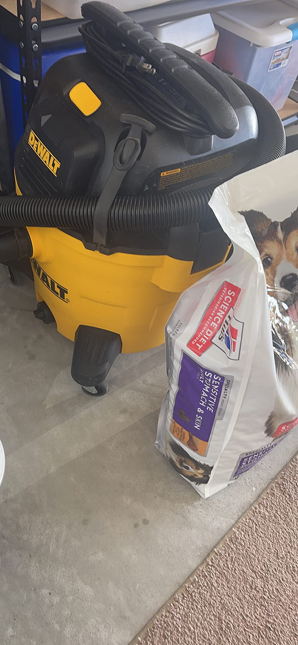 DEWALT 10 Gallon Poly Wet Dry Vacuum, 5.5 HP Shop Vacuum 120V 90 CFM for Jobsite, Work Shop, Commercial Area, Garage/Warehouse, DXV10P customer photo 2