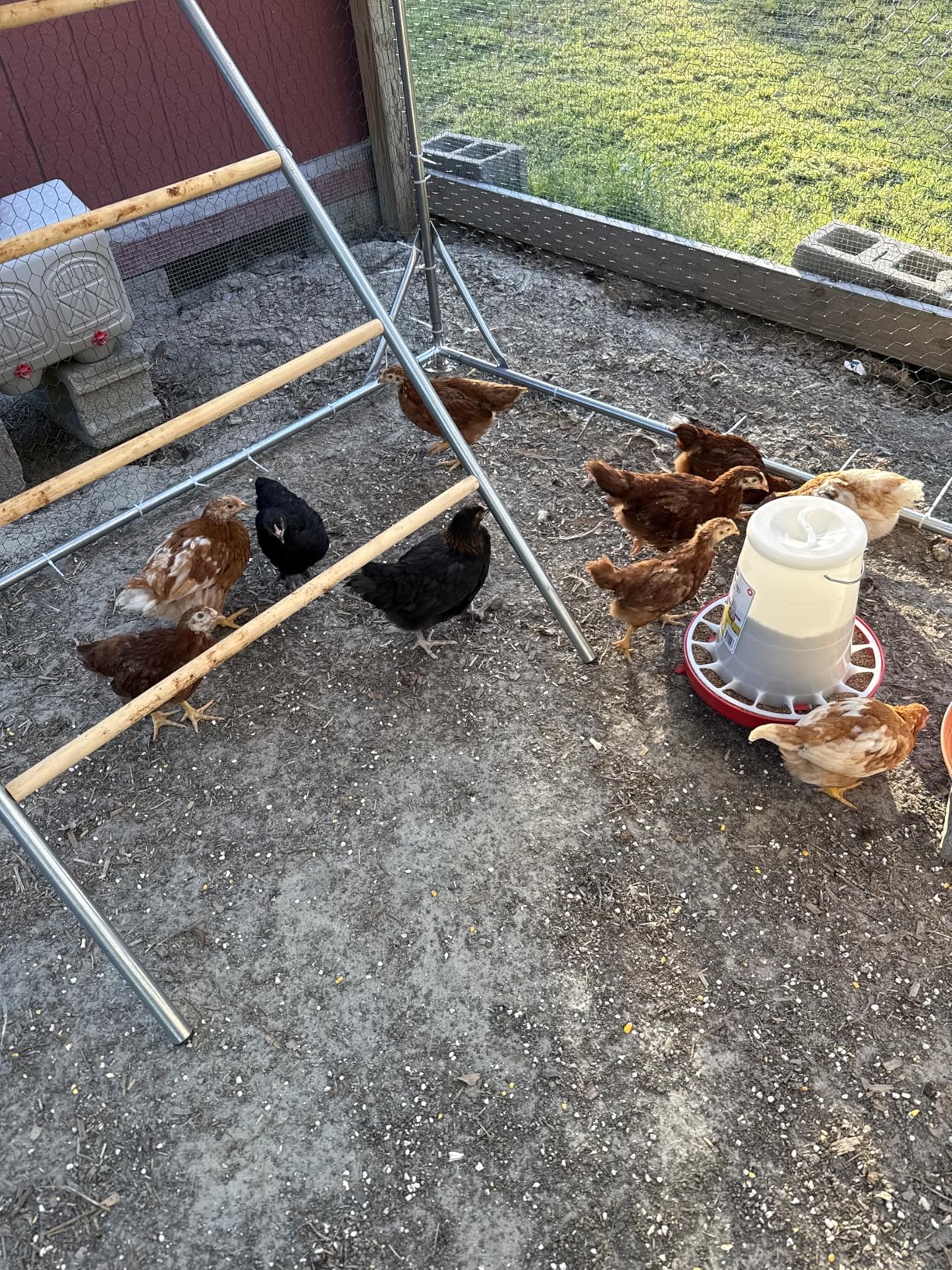 CHIKENCOOP 9.8 x 6.5 x 6.5 ft Metal Chicken Coop, Chicken Run with Cover | Walk-in outdoor enclosure with waterproof UV-resistant cover, reinforced frame customer photo 1