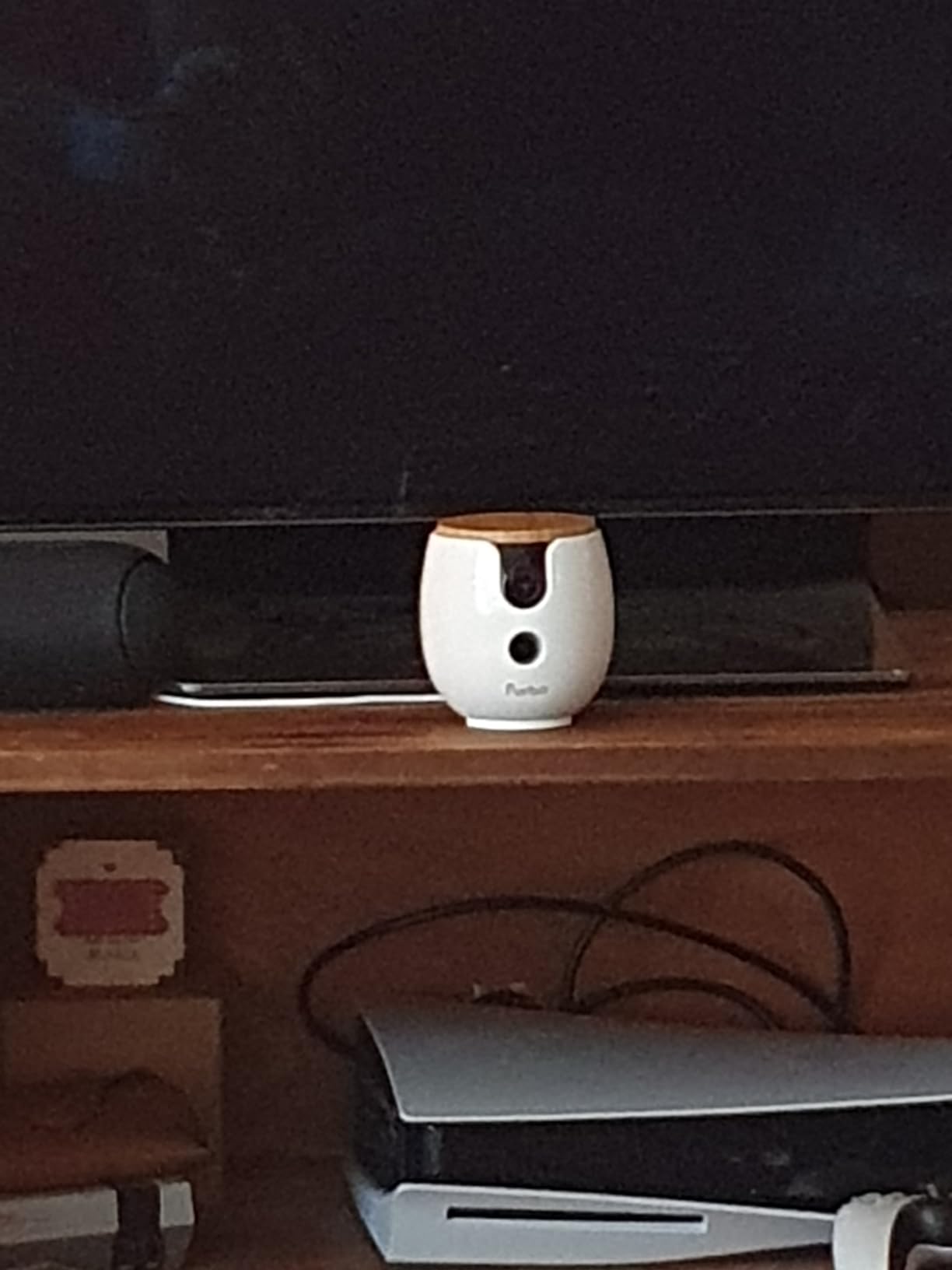 Furbo 360° Dog Camera [Paid Plan Required to Activate] customer photo 1