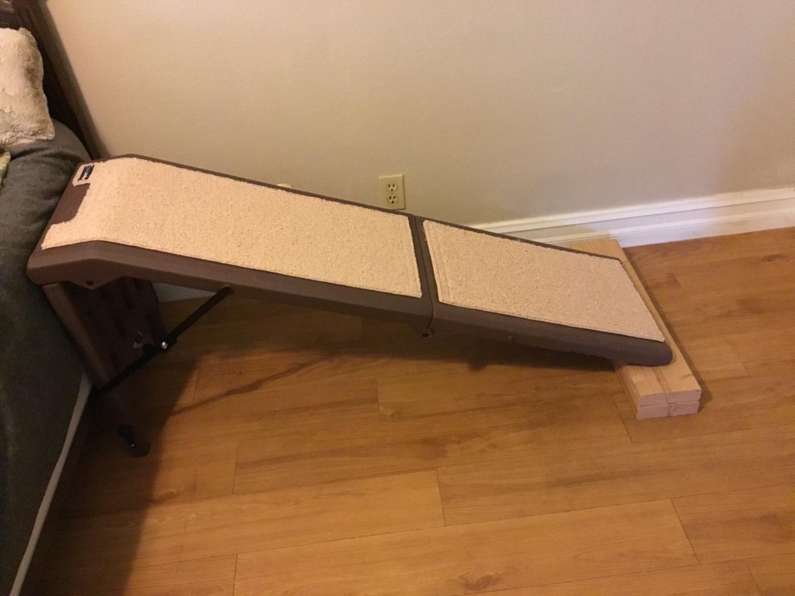Pet Gear Free Standing Pet Ramp for Cats and Dogs, Sea Salt | No Assembly Required, Easy Fold for Storage or Travel, Portable, Supports 200 lbs, 56