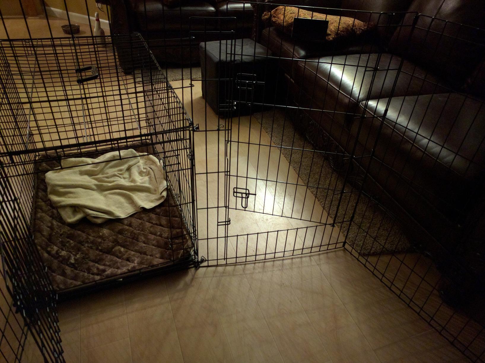MidWest Homes for Pets 24-Inch Exercise Pen, for Indoor and Outdoor Use, Single Door Folding Dog Pen with Secure Latch, Foldable Dog Playpen customer photo 1