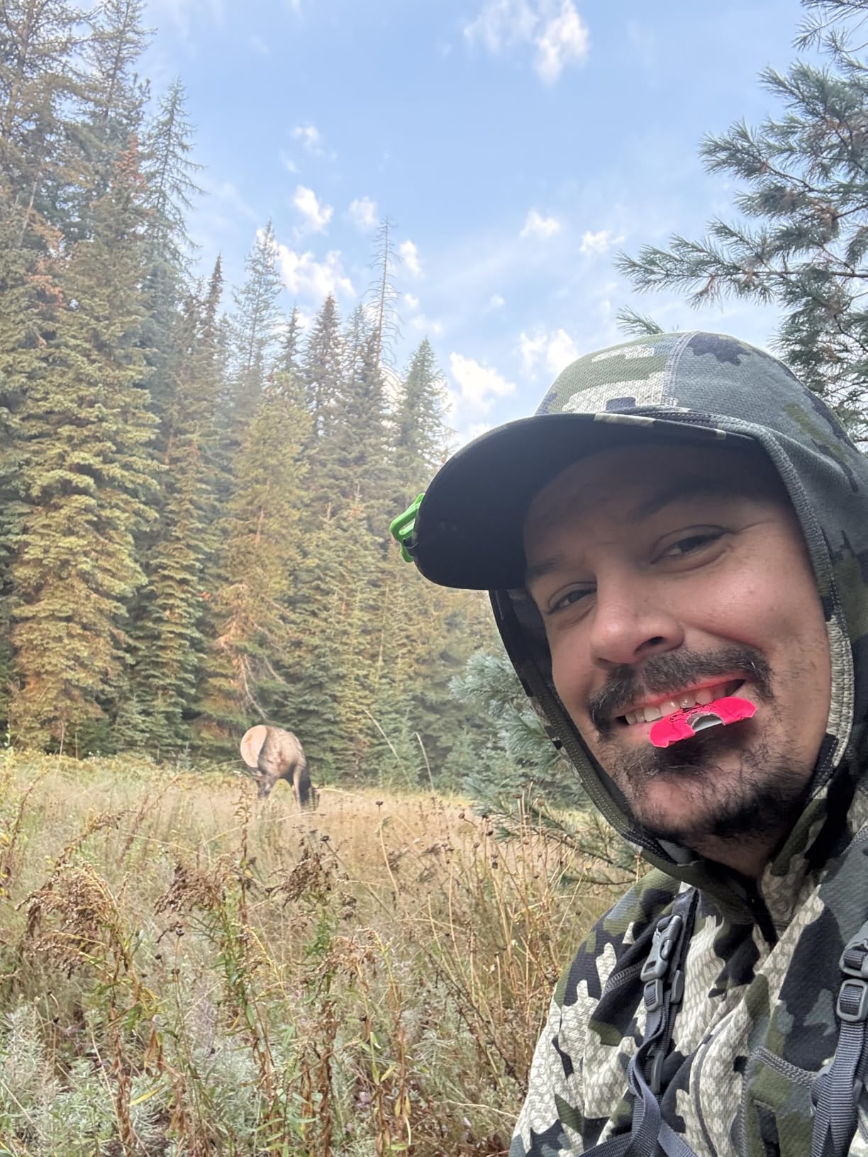 Montana Decoy Miss September Feeding Elk customer photo 1
