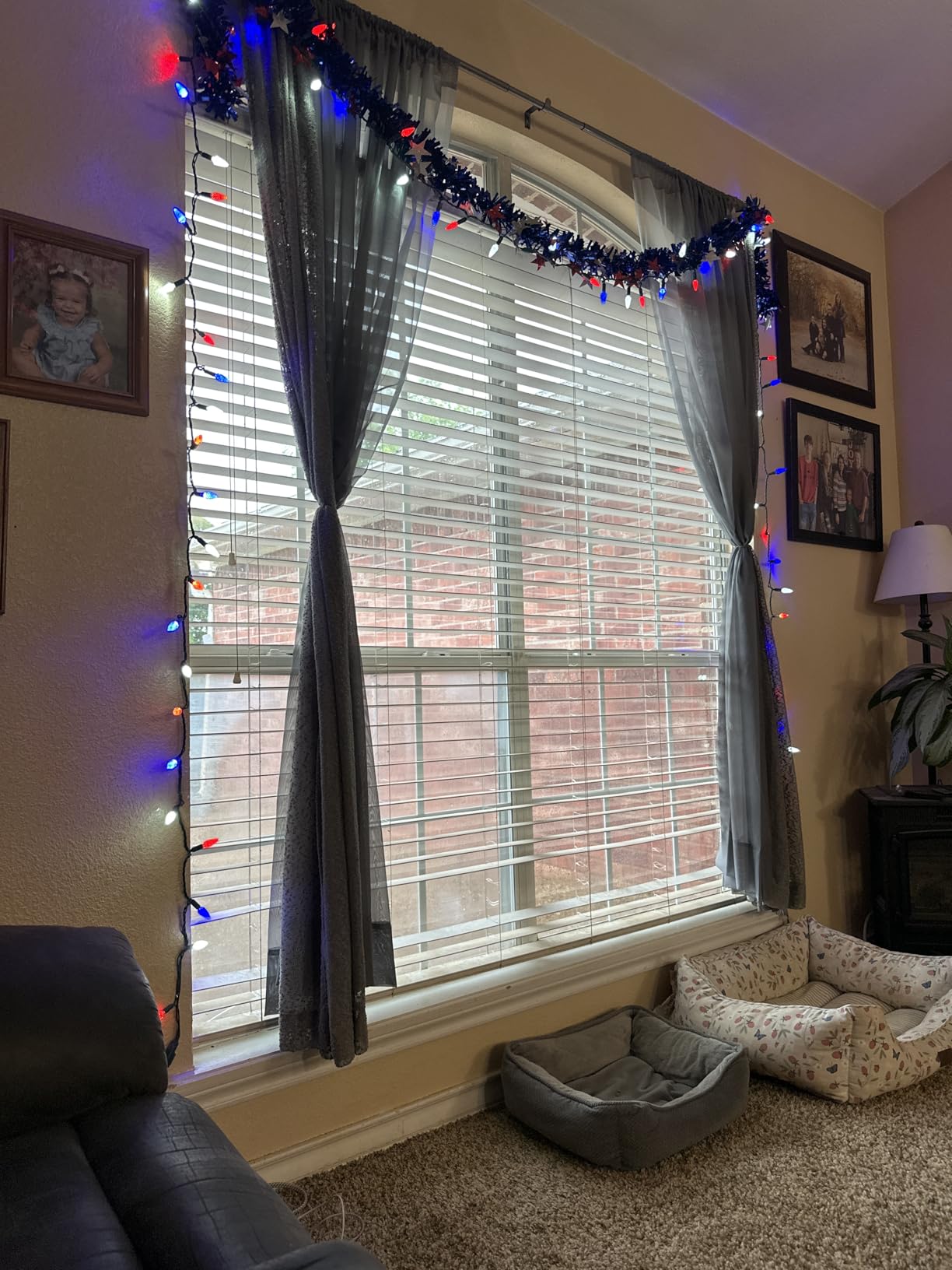 Novelty Lights 24FT 70 LED C6 Christmas String Lights, Outdoor Tree Commercial Grade LED Lights, Permanent Christmas Decorations (Warm White) customer photo 1