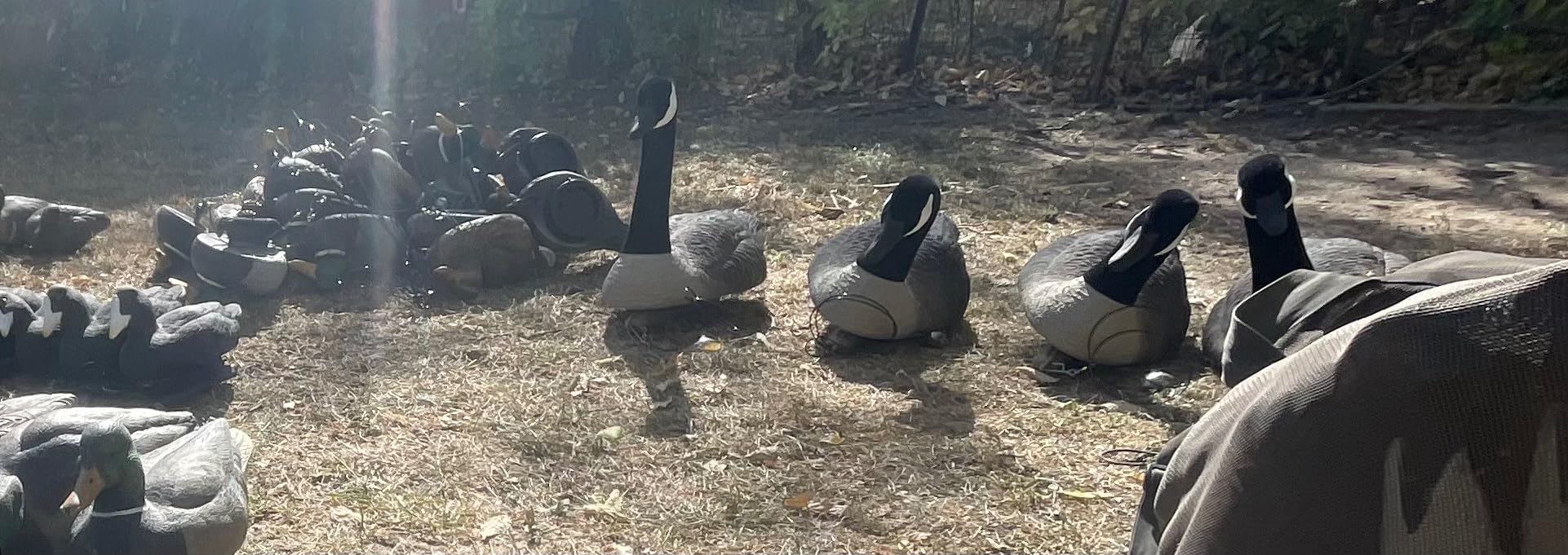 Higdon Outdoors Hunting Decoys customer photo 1