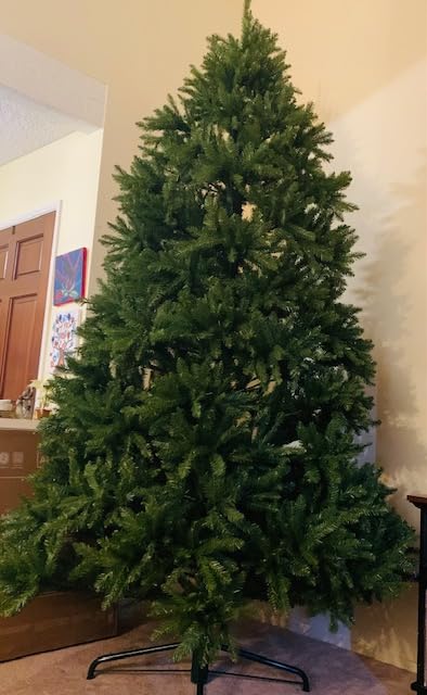 National Tree Company 6 ft Unlit Dunhill Fir Artificial Full Christmas Tree, 1,430 Tips, Includes Stand, Green customer photo 1
