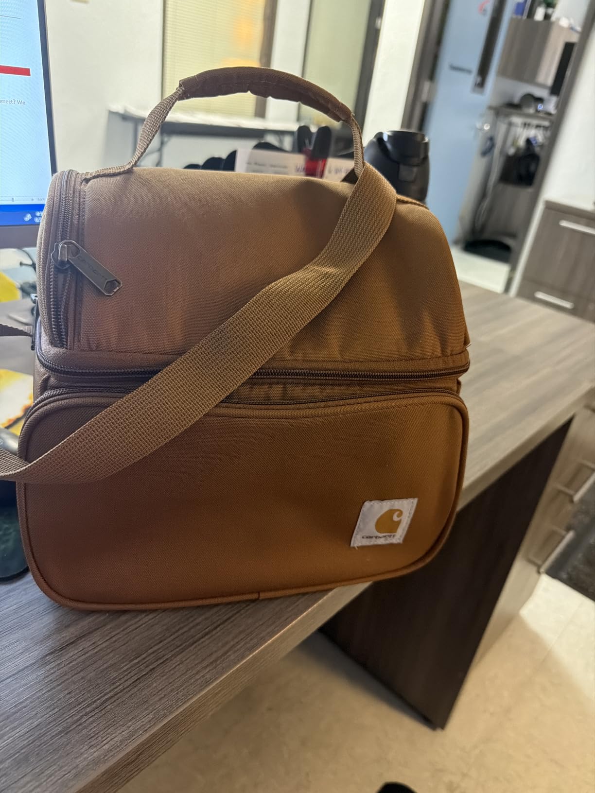 Carhartt Camping Cooler, Worksite Lunchbox, Soft Shell Lunch Bag for Construction Sites, Work and Everyday Use, Brown customer photo 2
