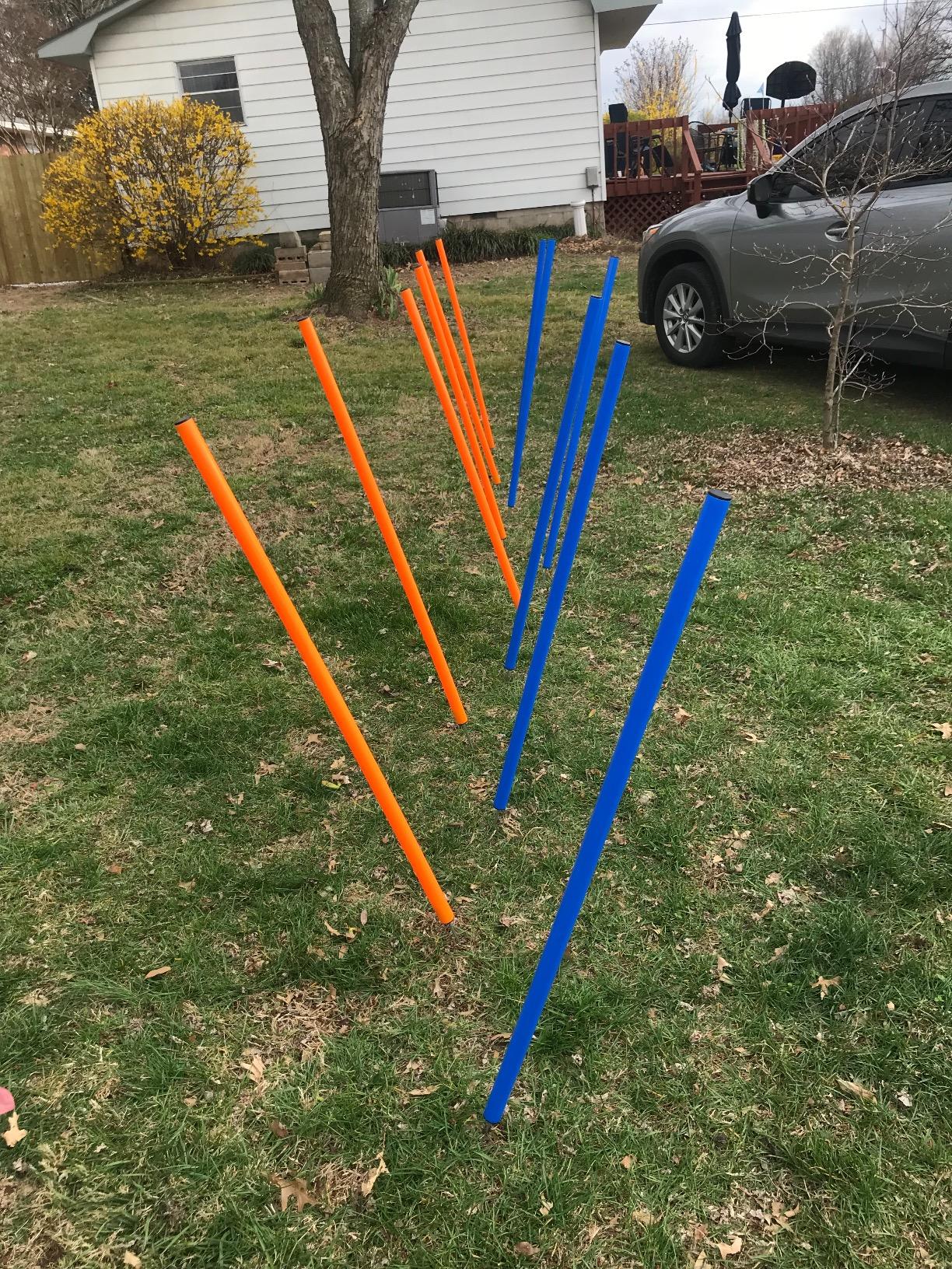 PAWISE Dog Agility Training Equipment,Pet Training Hurdles & Weave Poles Set with Adjustable Jump Bar,Outdoor Dog Obstacle Course for Backyard Exercise, Portable Dog Agility Kit for Shepherd Malinois customer photo 1