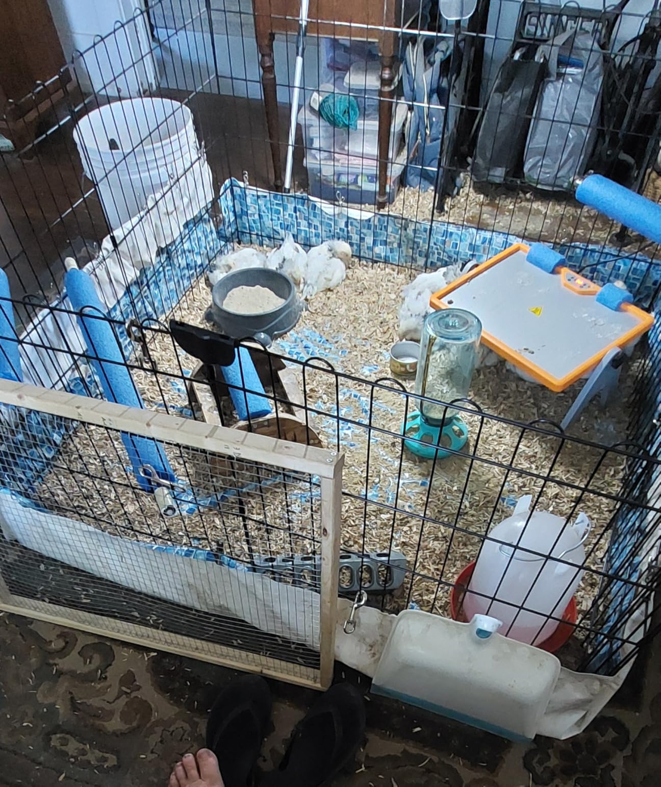 Amazon Basics Foldable Octagonal Metal Exercise Dog Playpen, Indoor/Outdoor Pet Fence, No Door, 8 Panels, Extra Small, 24 x 24 Inches, Black customer photo 2