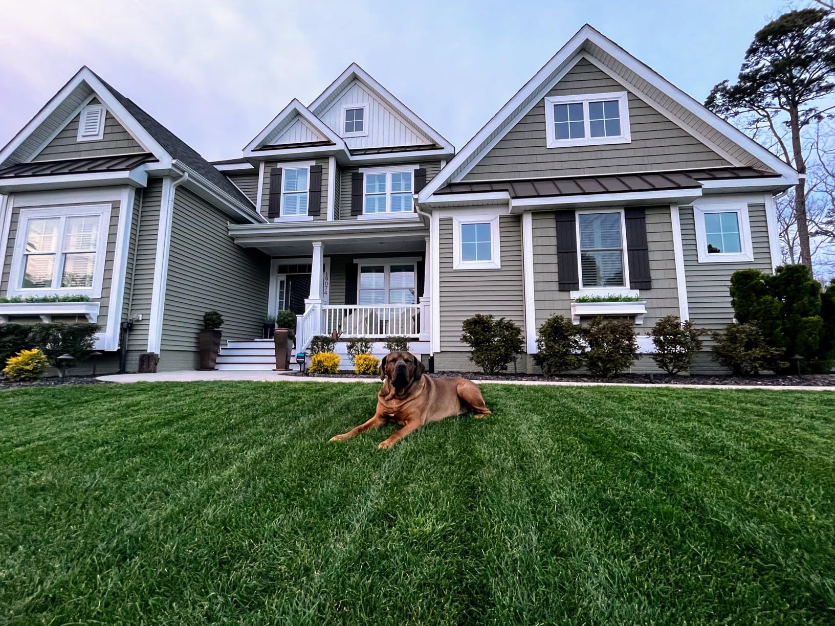 Kobalt 40-Volt Max 15-in Straight Cordless Bare Tool String Trimmer (Battery Not Included) customer photo 1