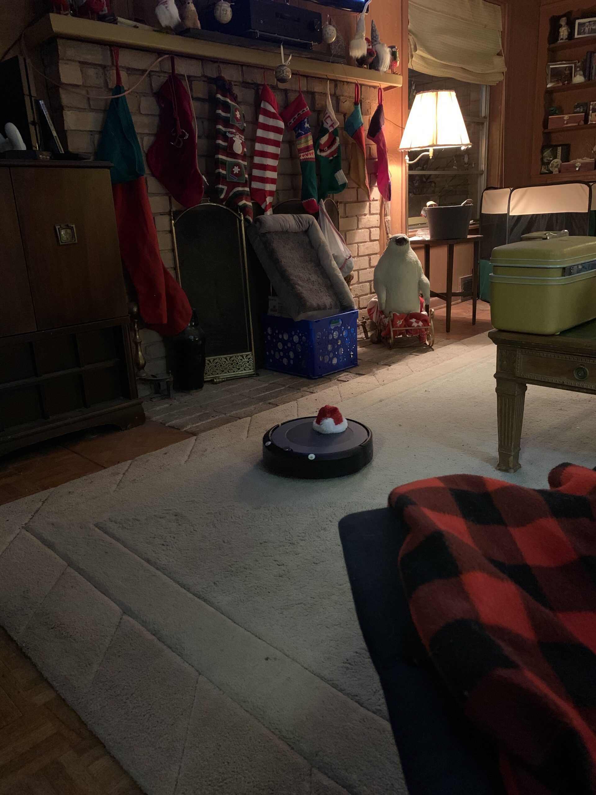 iRobot Roomba i3+ EVO (3550) Self-Emptying Robot Vacuum - Now Clean by Room with Smart Mapping, Empties Itself for Up to 60 Days, Works with Alexa, Ideal for Pet Hair, Carpets customer photo 2