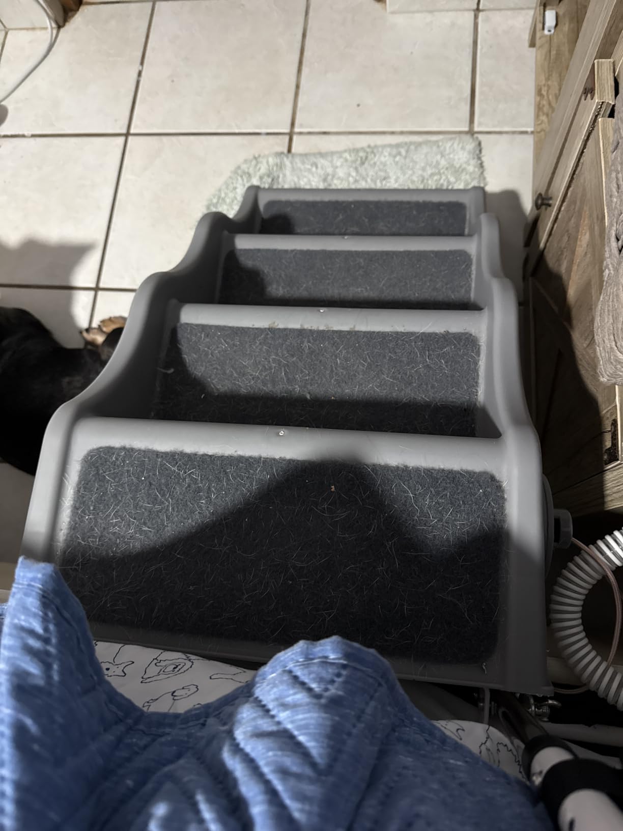 Amazon Basics Foldable Non-Slip Pet Stairs for Small Dogs and Cats, Senior Pets, Easy to Climb, 14.6